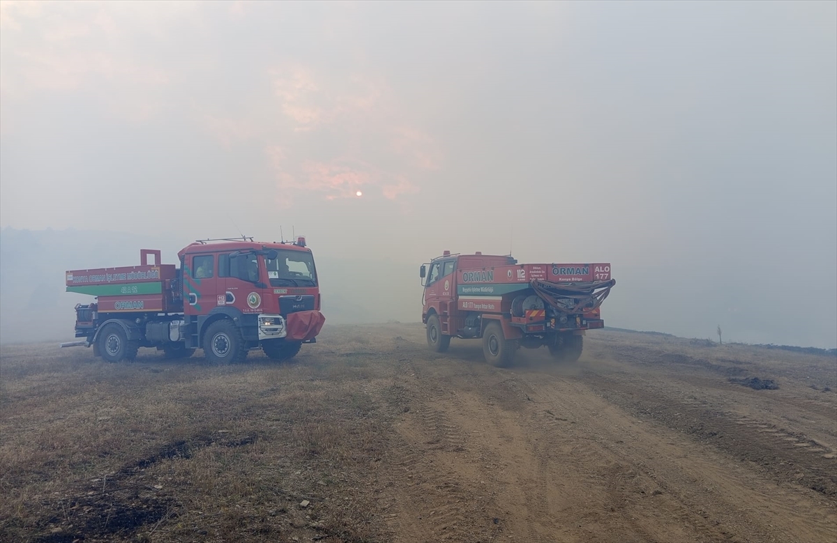 Konya'da çıkan orman yangınına müdahale ediliyor - Görsel 1