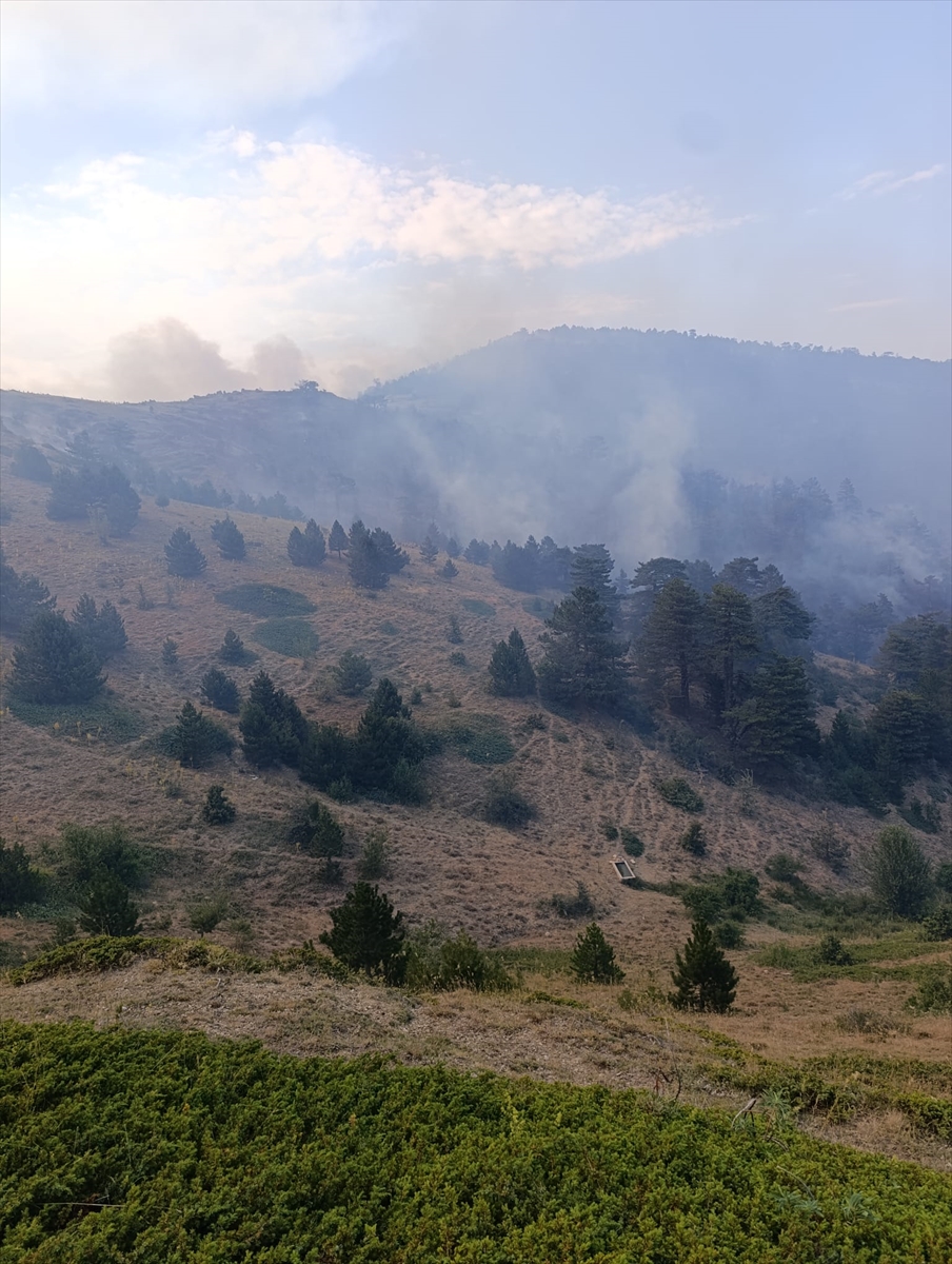 Konya'da çıkan orman yangınına müdahale ediliyor - Görsel 3