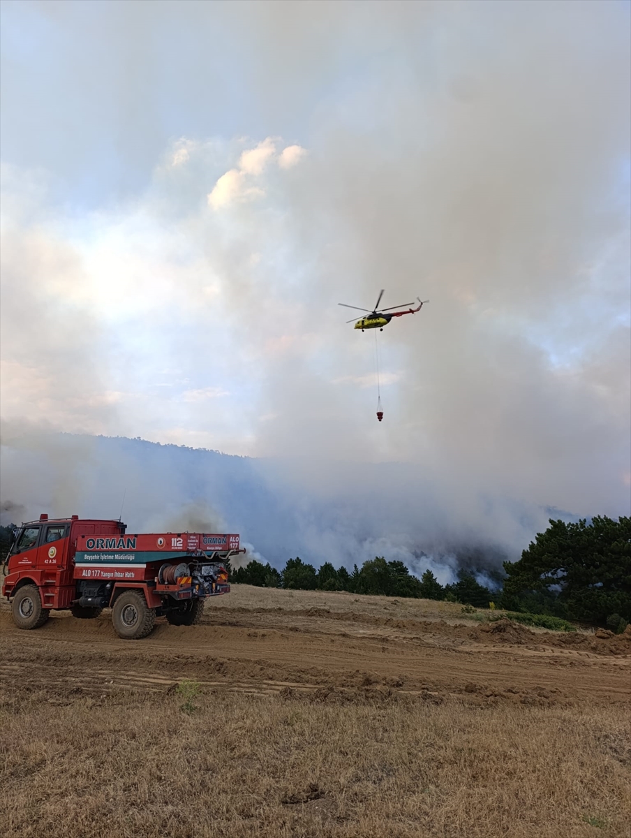 Konya'da çıkan orman yangınına müdahale ediliyor - Görsel 5
