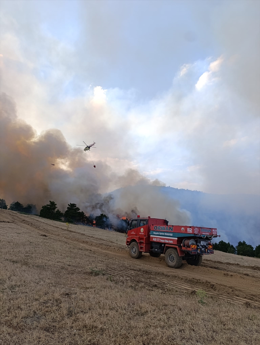 Konya'da çıkan orman yangınına müdahale ediliyor - Görsel 6