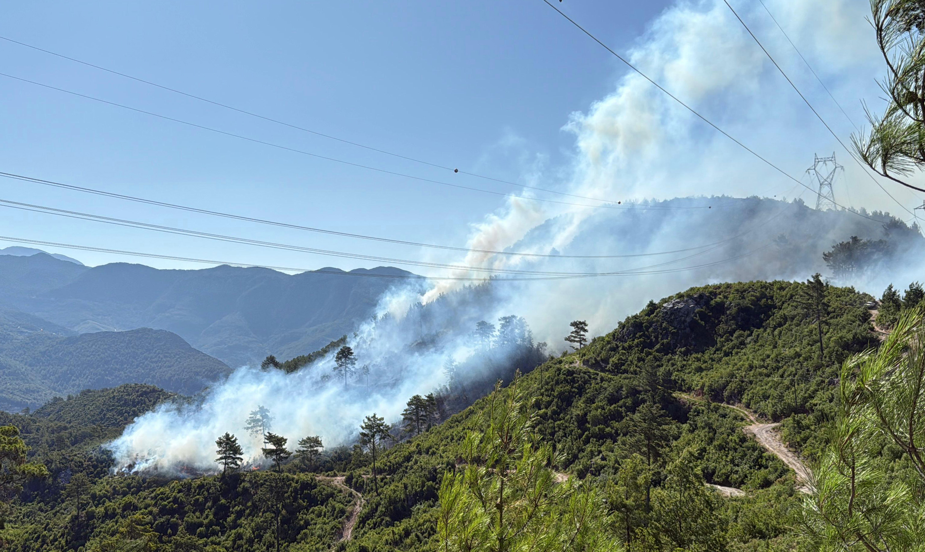 Antalya- Yangın sadece ormanı değil, sağlığı da yakıyor  - Görsel 2