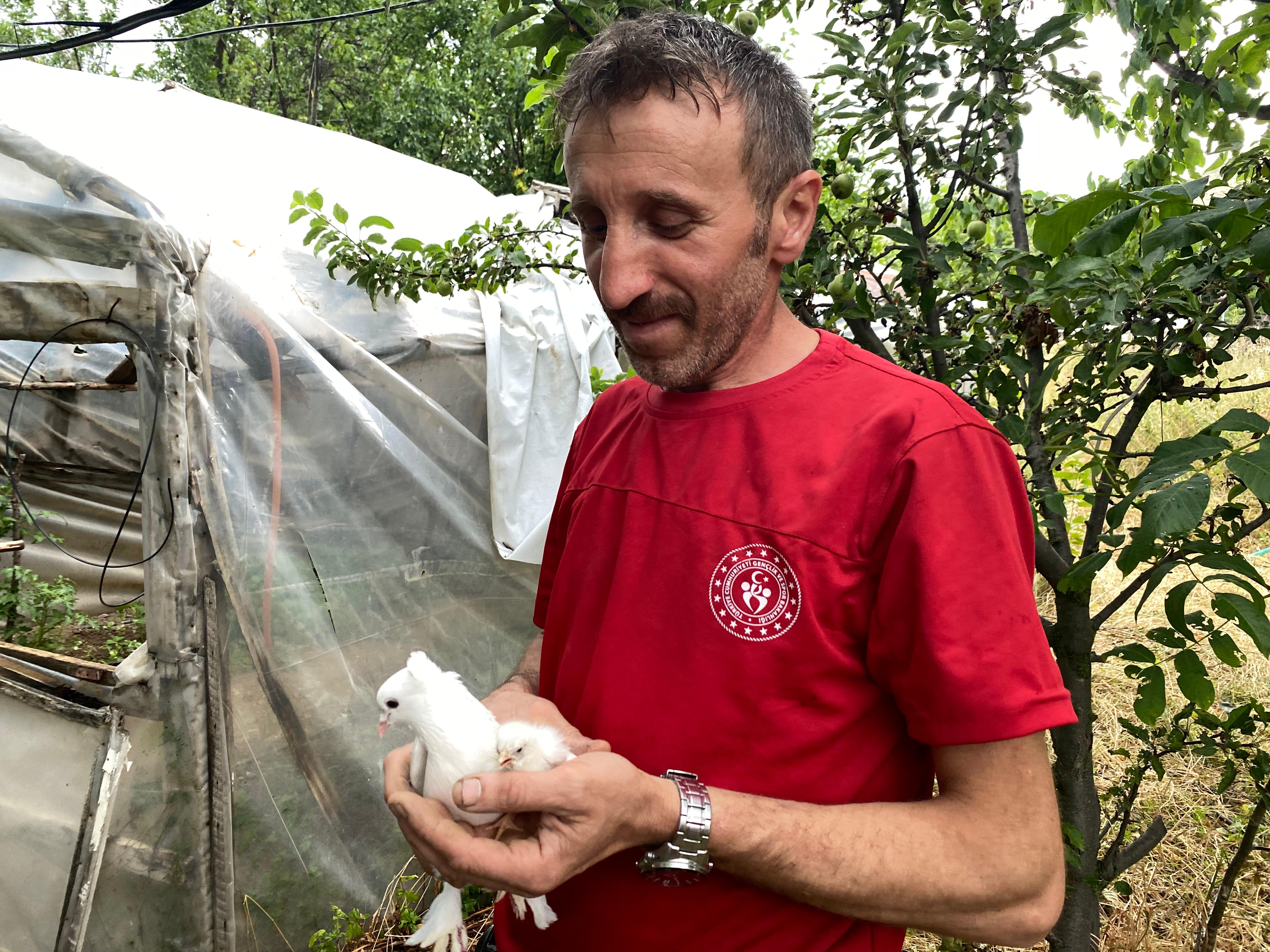 Tavuk yumurtasının üzerine kuluçkaya yatan güvercin, çıkan civcivi sahiplendi - Görsel 5