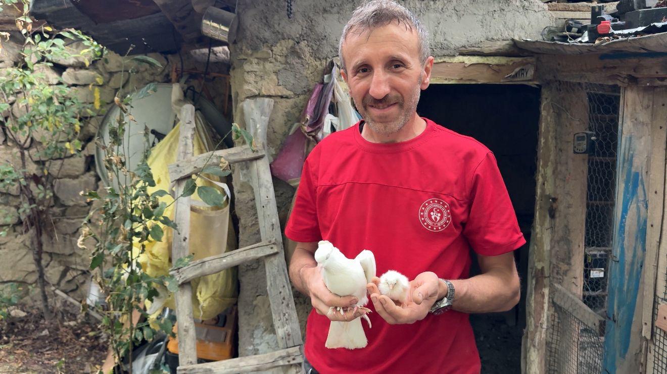 Tavuk yumurtasının üzerine kuluçkaya yatan güvercin, çıkan civcivi sahiplendi - Görsel 6