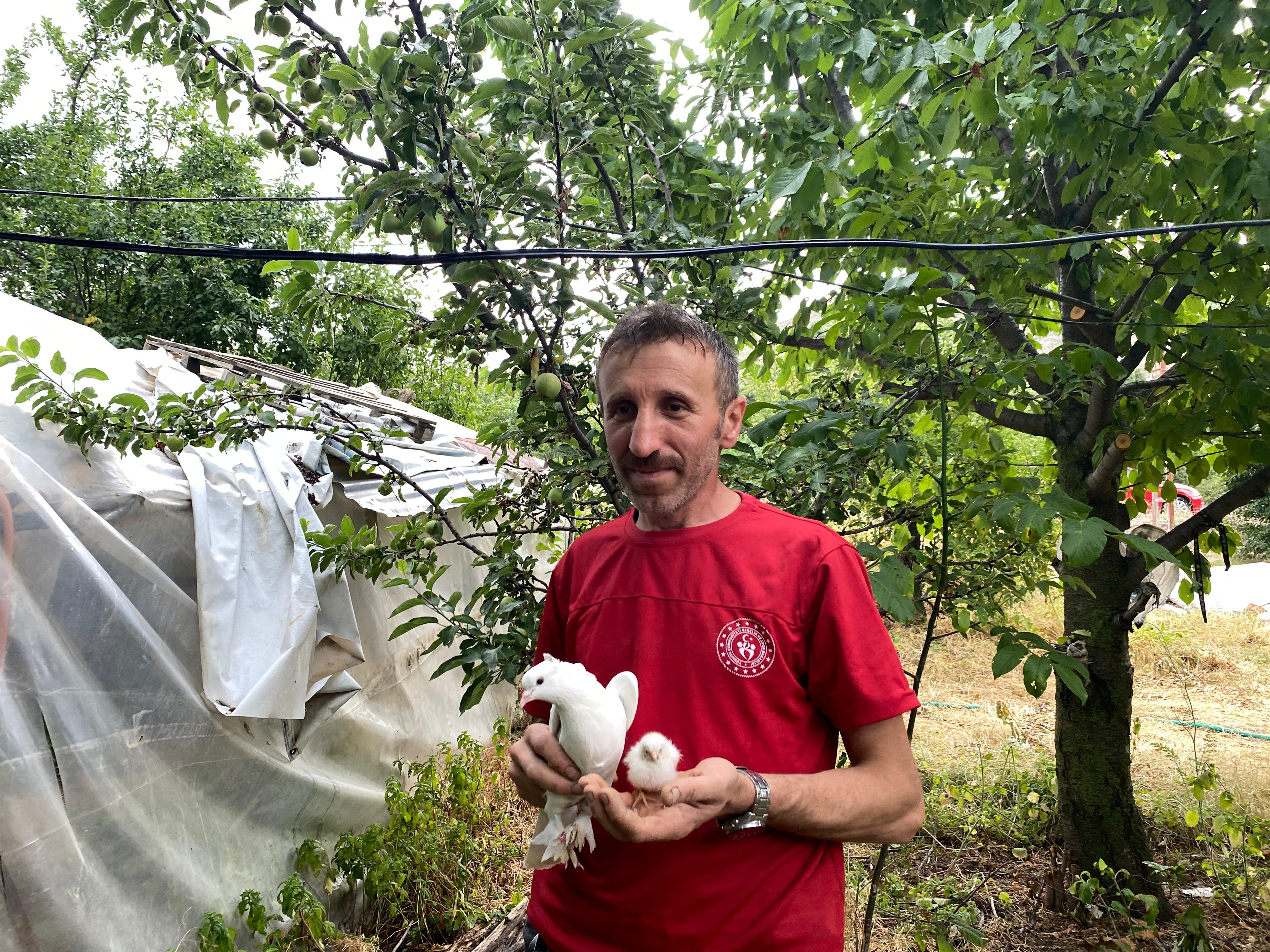 Tavuk yumurtasının üzerine kuluçkaya yatan güvercin, çıkan civcivi sahiplendi - Görsel 7