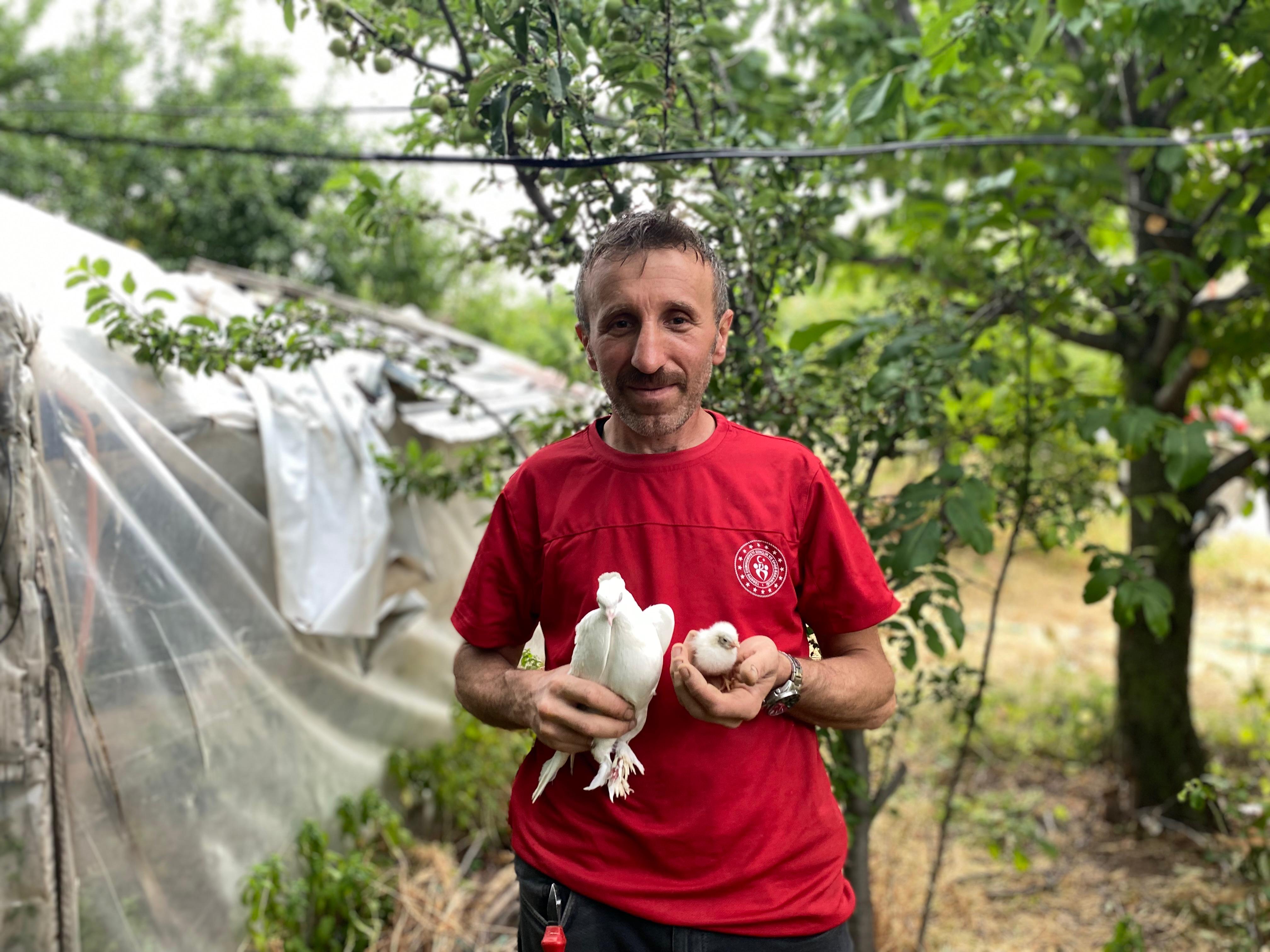 Tavuk yumurtasının üzerine kuluçkaya yatan güvercin, çıkan civcivi sahiplendi - Görsel 8
