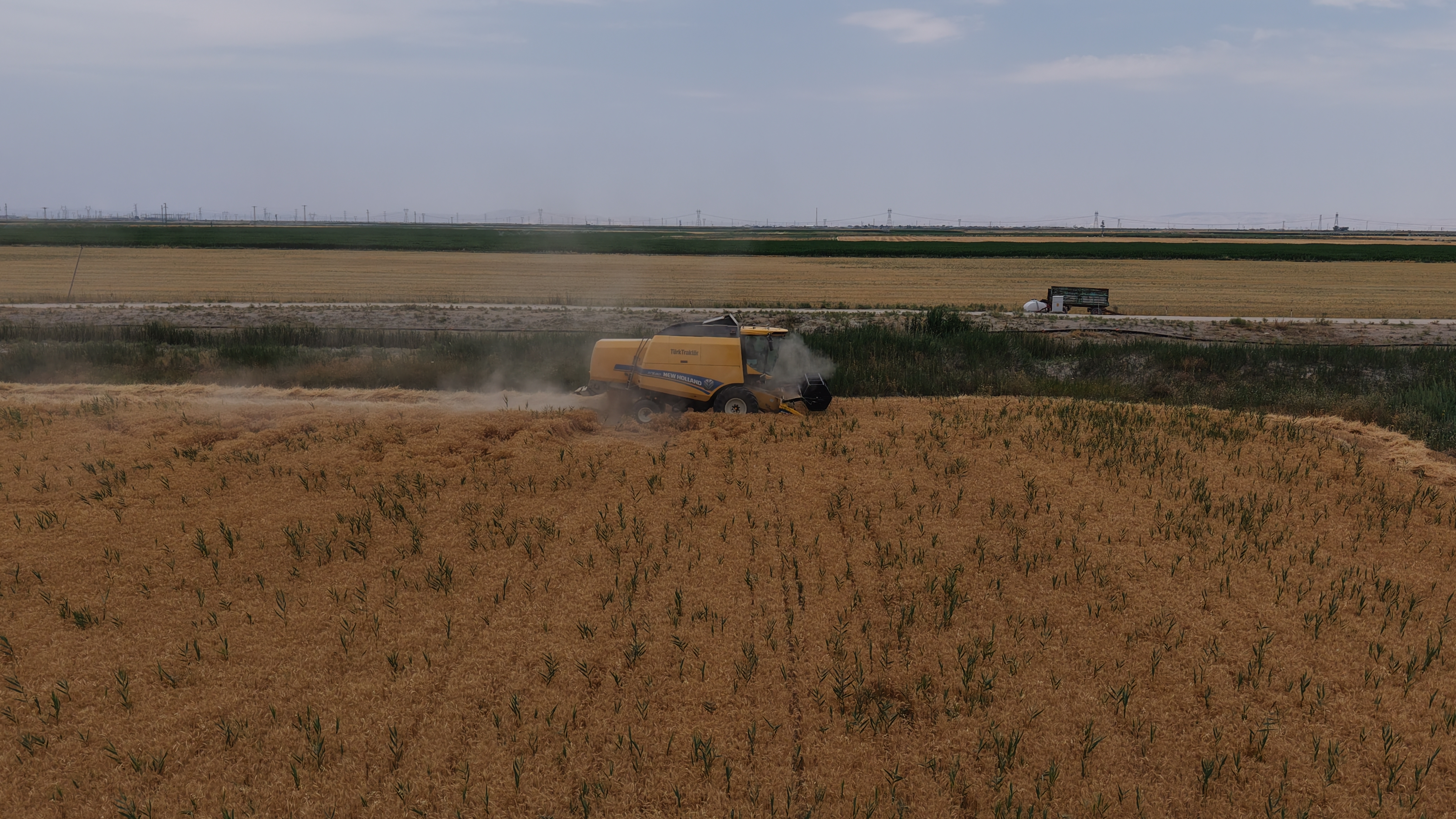 Konya Ovası’nda, kuraklık ve don nedeniyle yaklaşık 1 milyon ton rekolte düşüşü bekleniyor  - Görsel 1