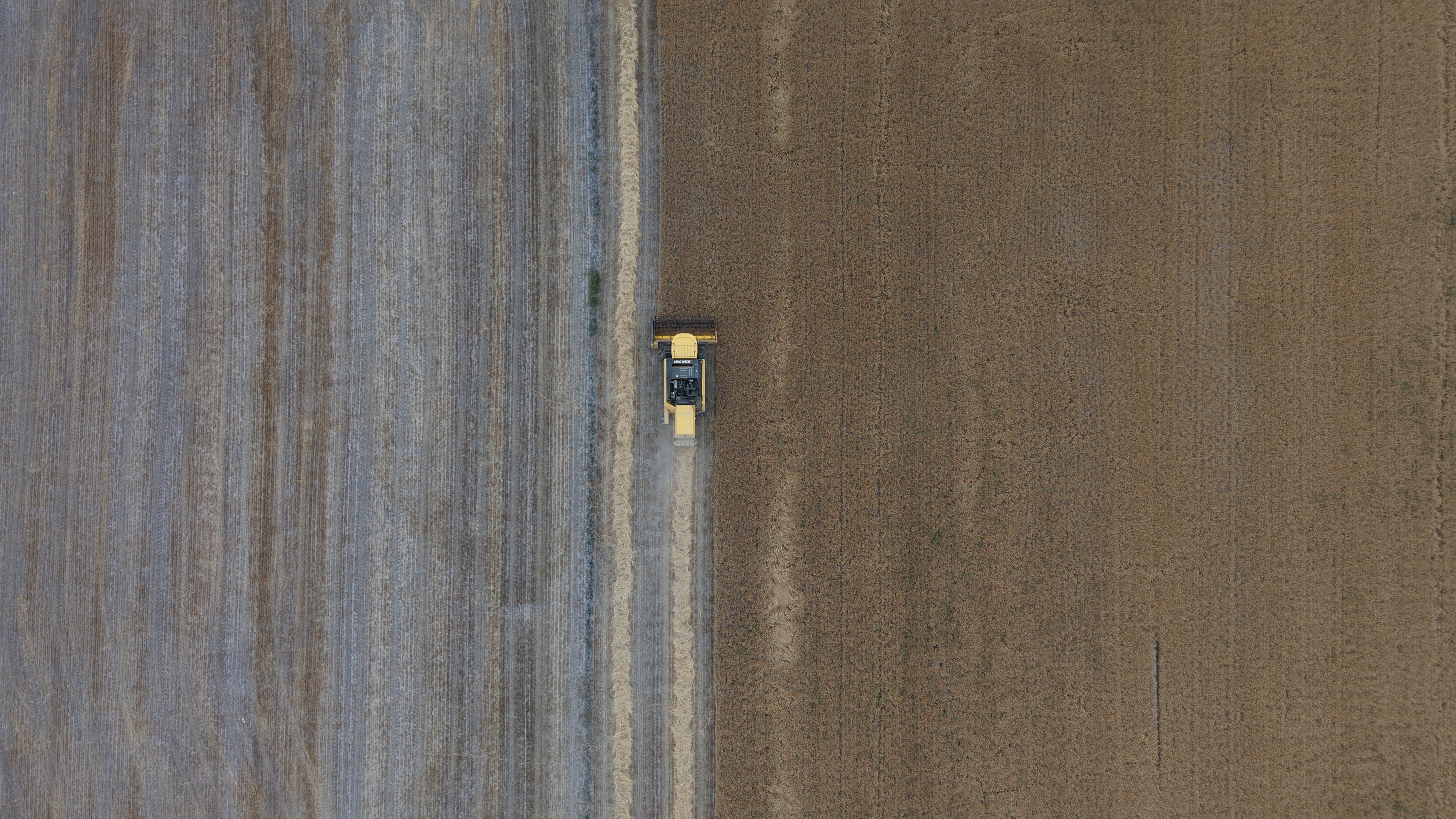 Konya Ovası’nda, kuraklık ve don nedeniyle yaklaşık 1 milyon ton rekolte düşüşü bekleniyor  - Görsel 3