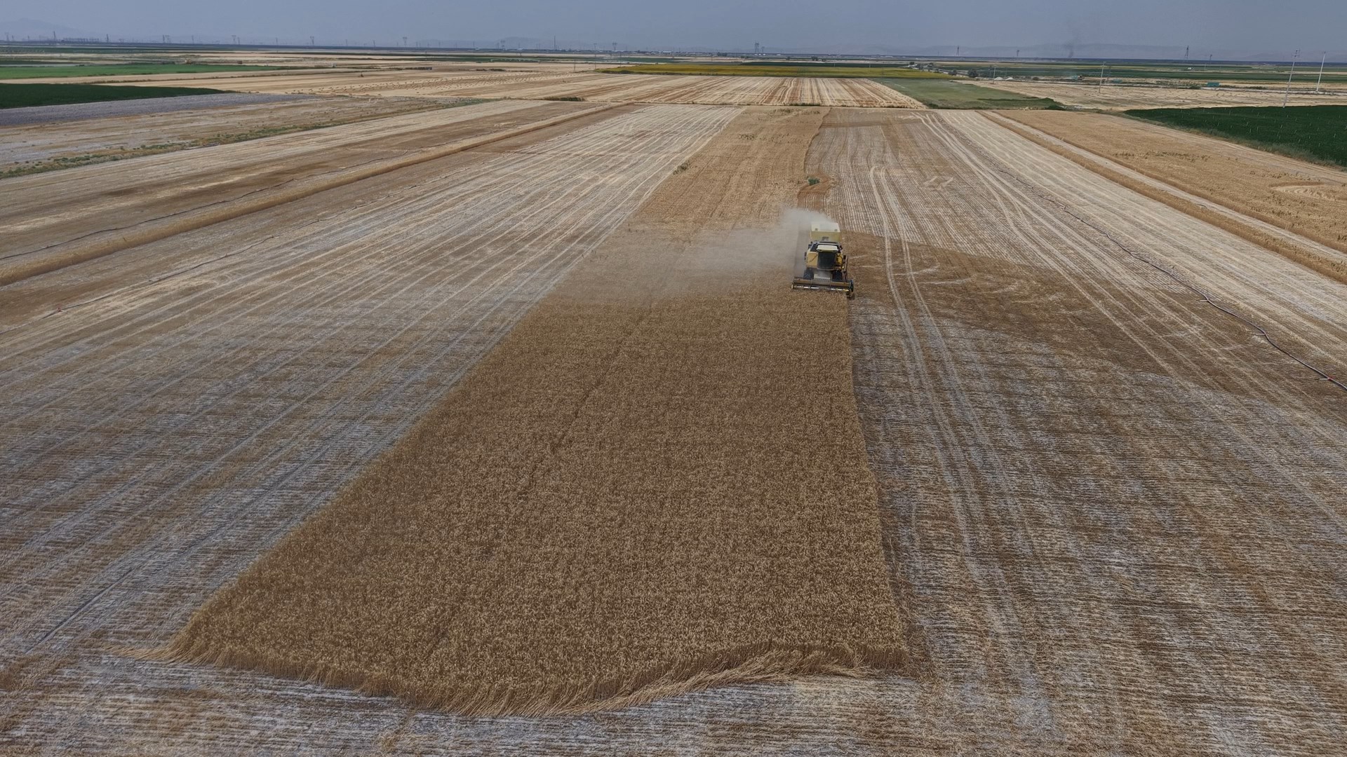 Konya Ovası’nda, kuraklık ve don nedeniyle yaklaşık 1 milyon ton rekolte düşüşü bekleniyor  - Görsel 4