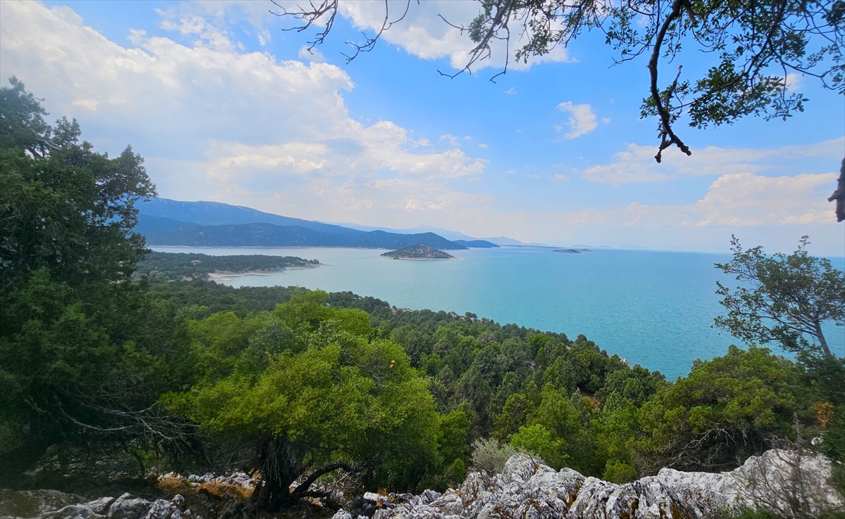 Beyşehir Gölü'ndeki ada doğa tutkunlarının da gözdesi oldu - Görsel 4