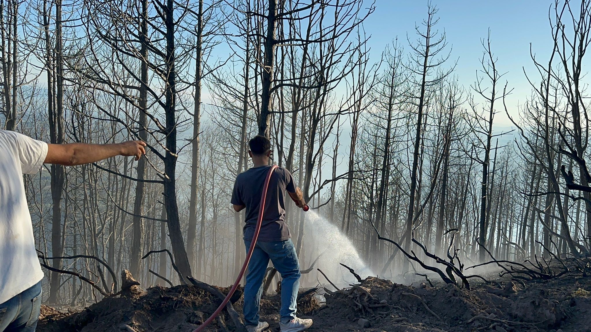 61 orman yangıyla ilgili 4 kişi tutuklandı - Görsel 1