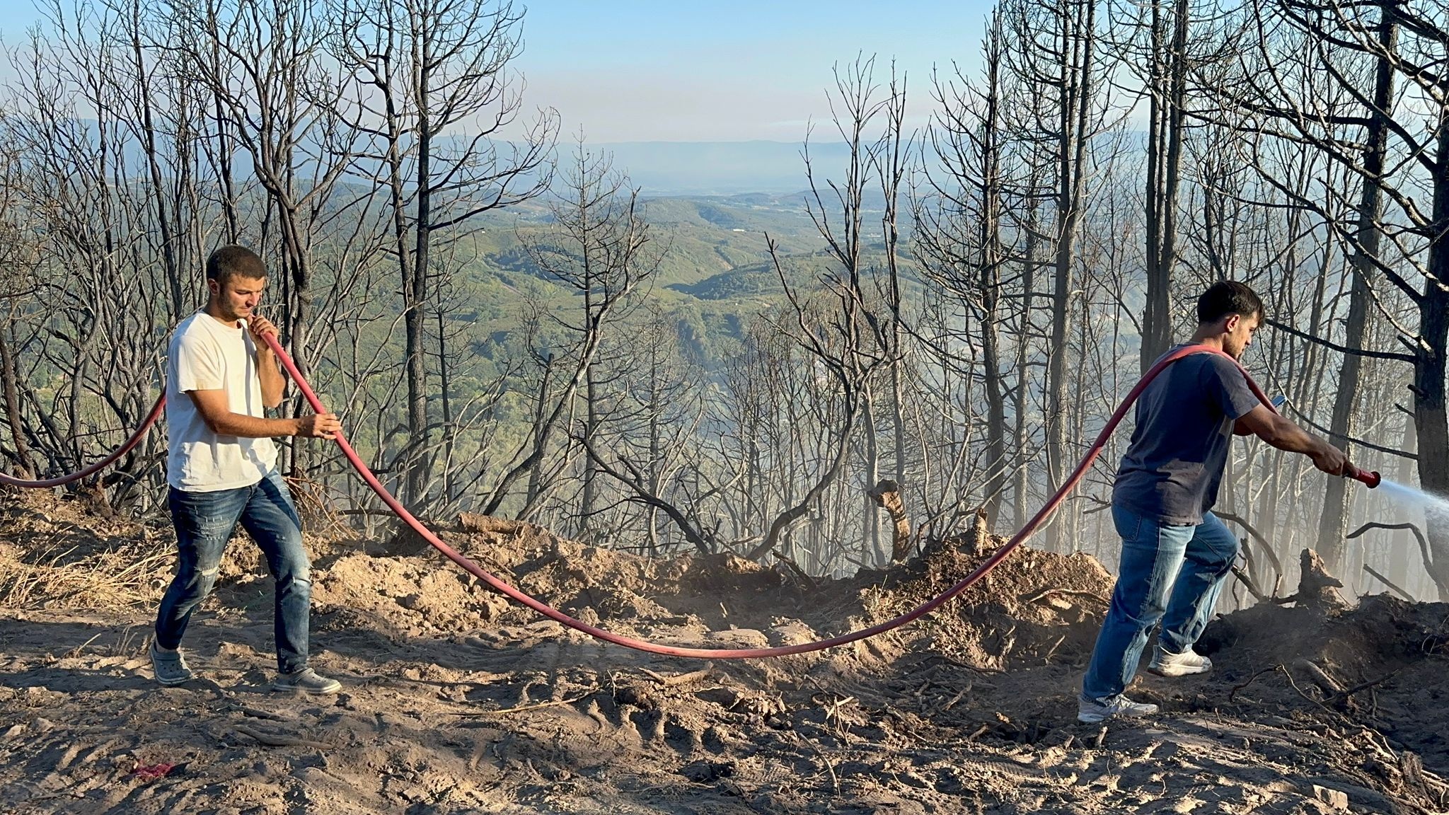 61 orman yangıyla ilgili 4 kişi tutuklandı - Görsel 3