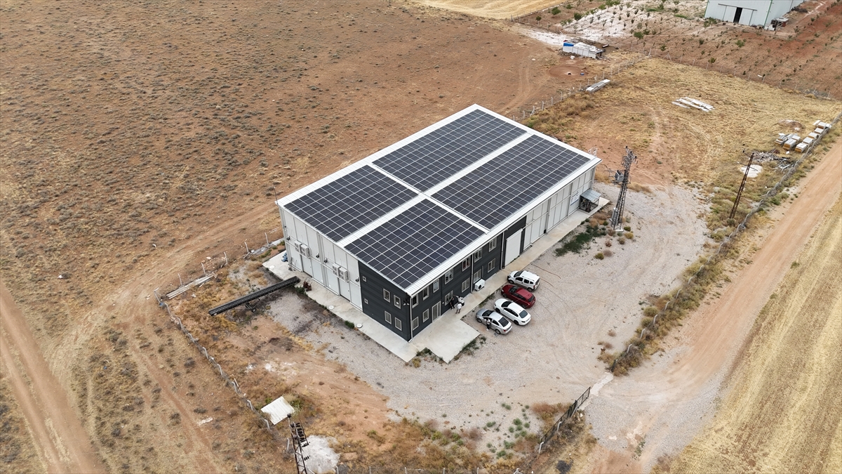 Karamanda Devlet desteğiyle kurduğu tesiste ayda ortalama 15 ton mantar üretiyor - Görsel 3