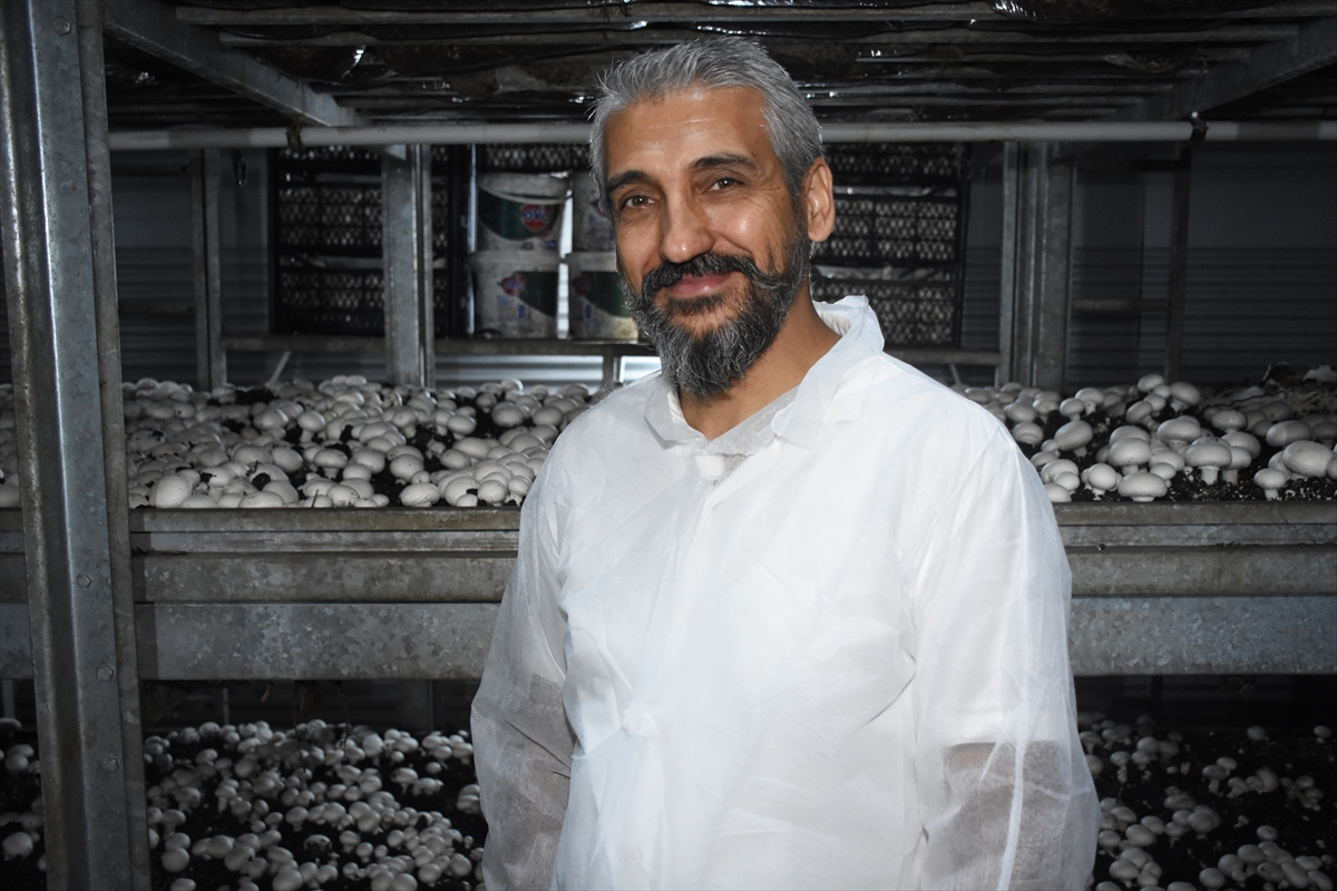 Karamanda Devlet desteğiyle kurduğu tesiste ayda ortalama 15 ton mantar üretiyor - Görsel 7