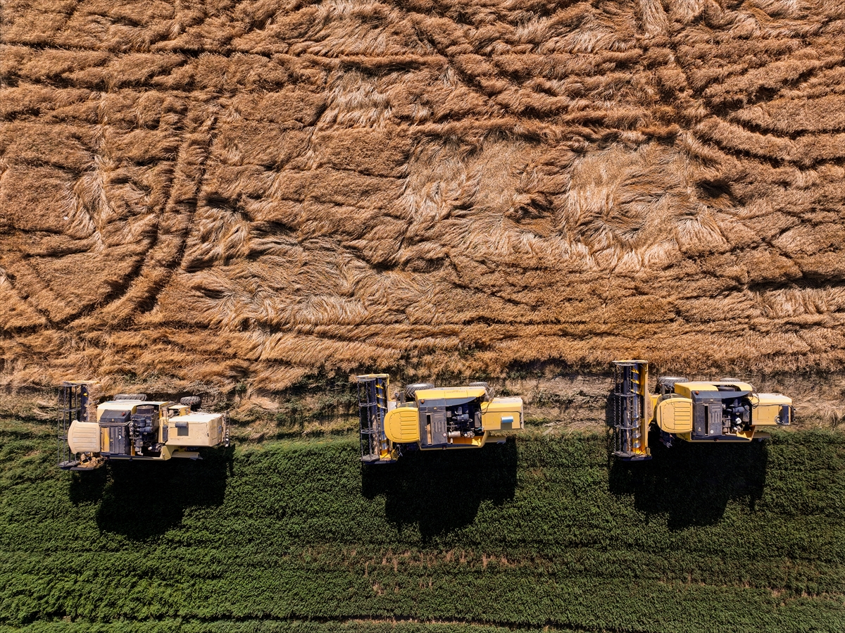 Konya'nın devasa dairesel tarlalarında hasat tamamlandı - Görsel 1