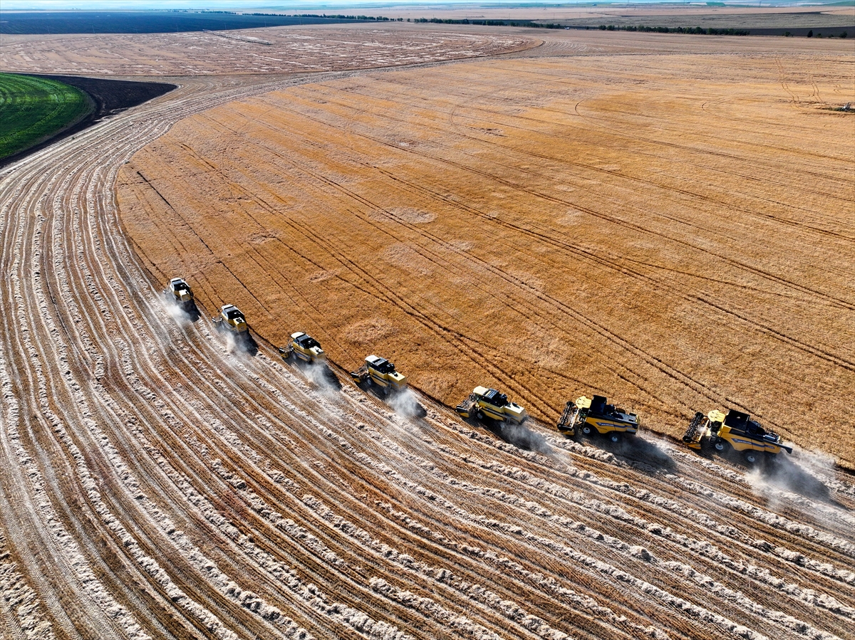Konya'nın devasa dairesel tarlalarında hasat tamamlandı - Görsel 2