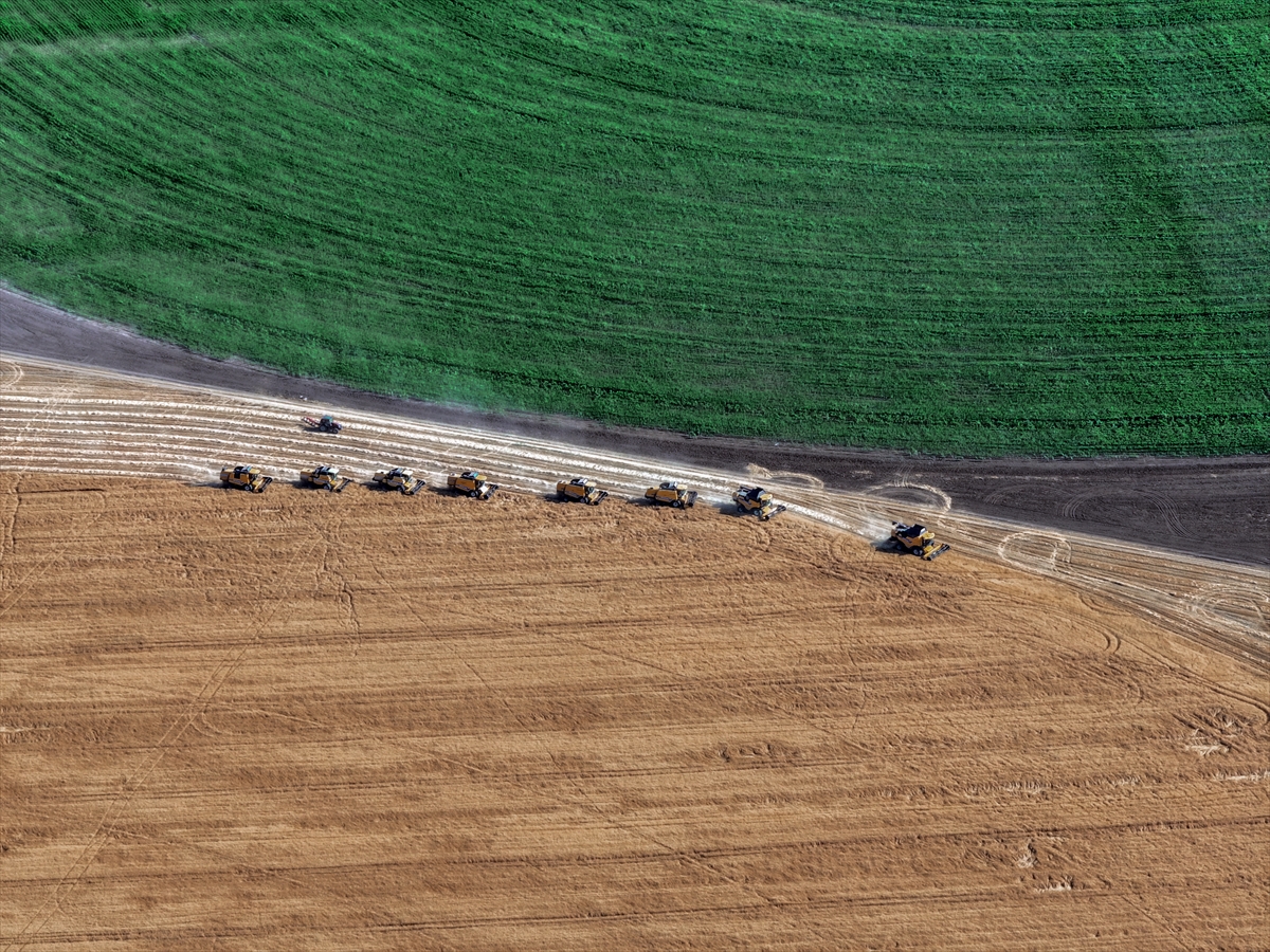 Konya'nın devasa dairesel tarlalarında hasat tamamlandı - Görsel 5