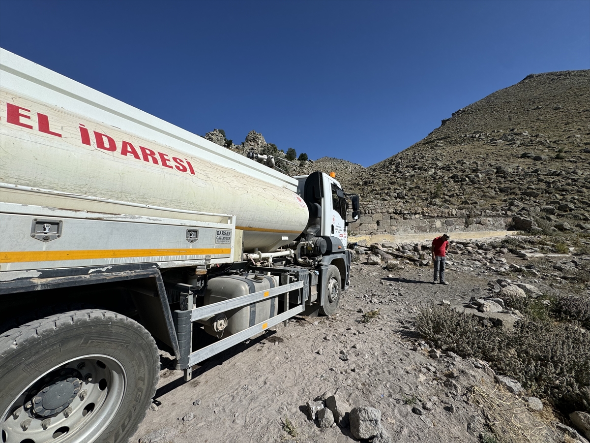 Karaman'da yılkı atları için tankerle su taşındı - Görsel 1
