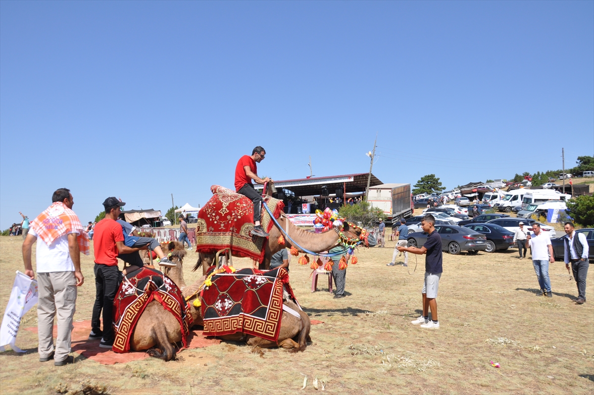 Gelenekler Yaşatılıyor: Akşehir, 26. Yörük Türkmen Şöleni'ne Ev Sahipliği Yaptı - Görsel 2