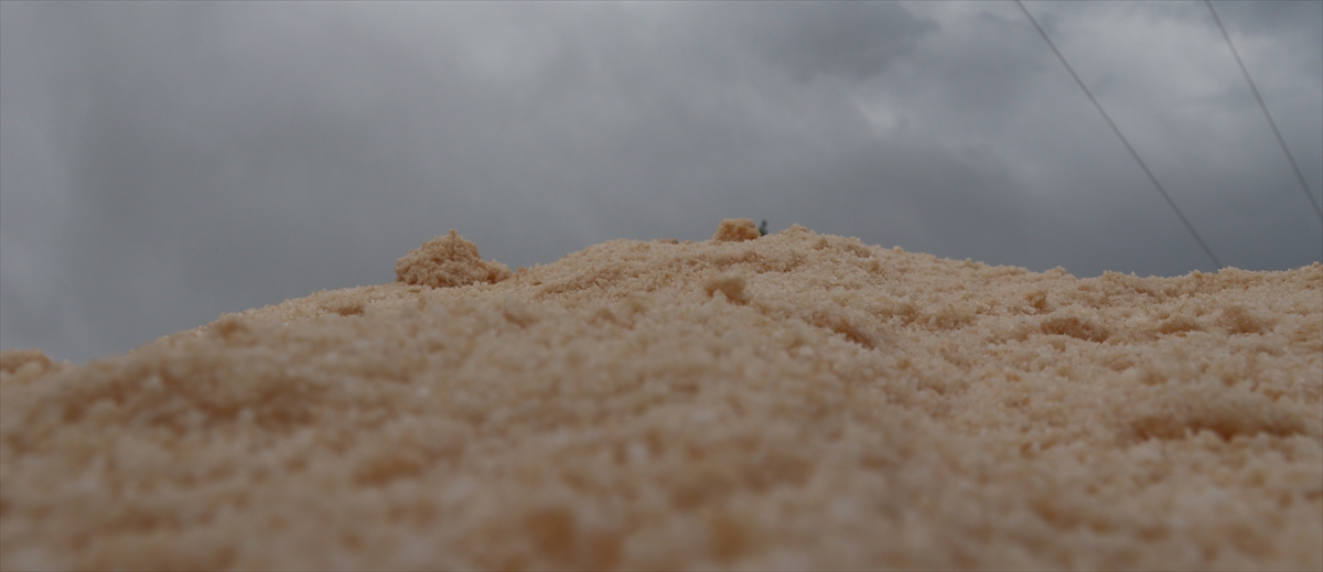 Ünlü şeflerin de tercih ettiği "altın tuz"da hasat zamanı - Görsel 7