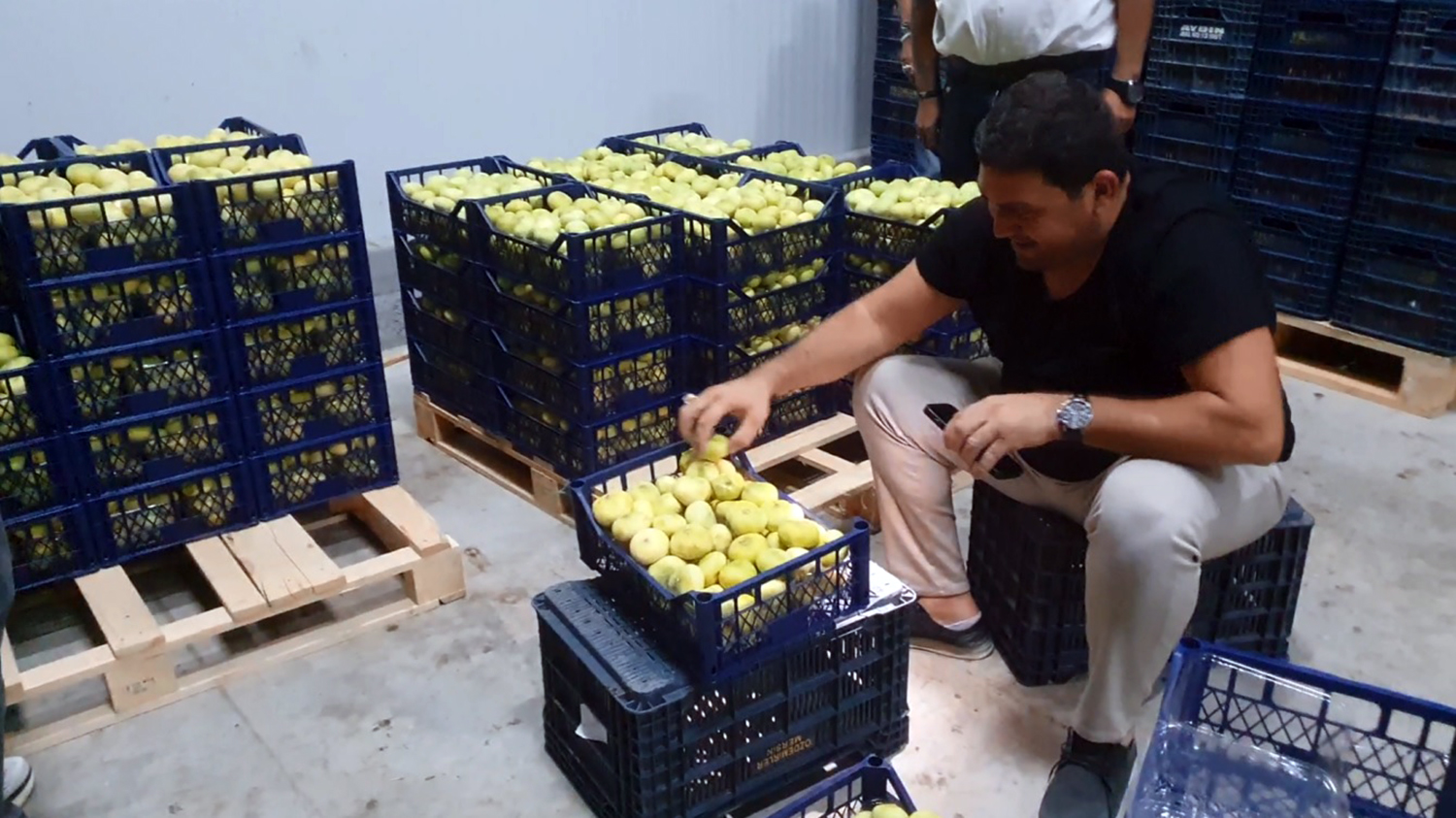 Mut beyazı incir, tanesi 20 TL'den ihraç ediliyor - Görsel 3