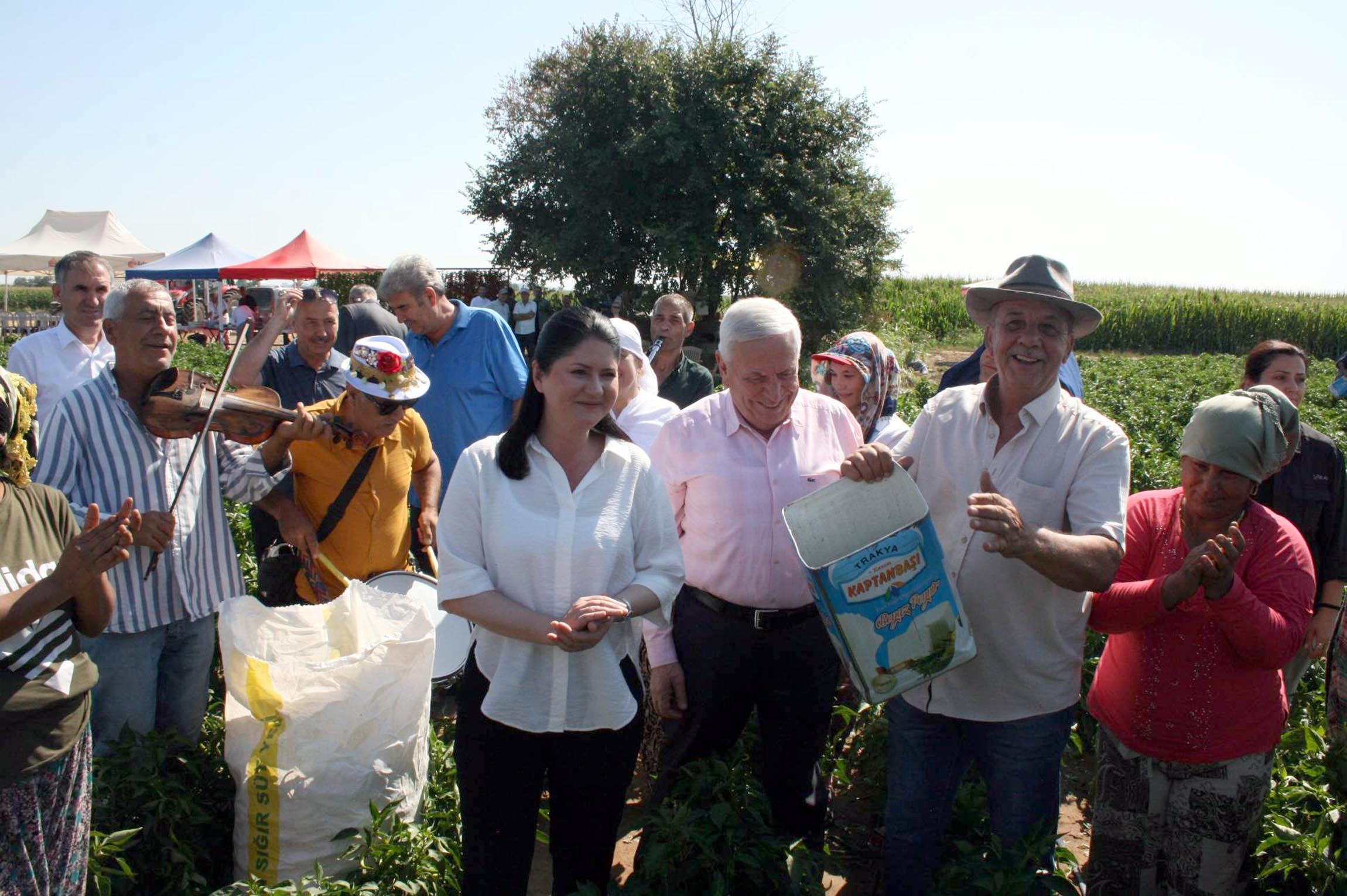 Edirne'de oyun havaları eşliğinde 'acı biber' hasadı - Görsel 6