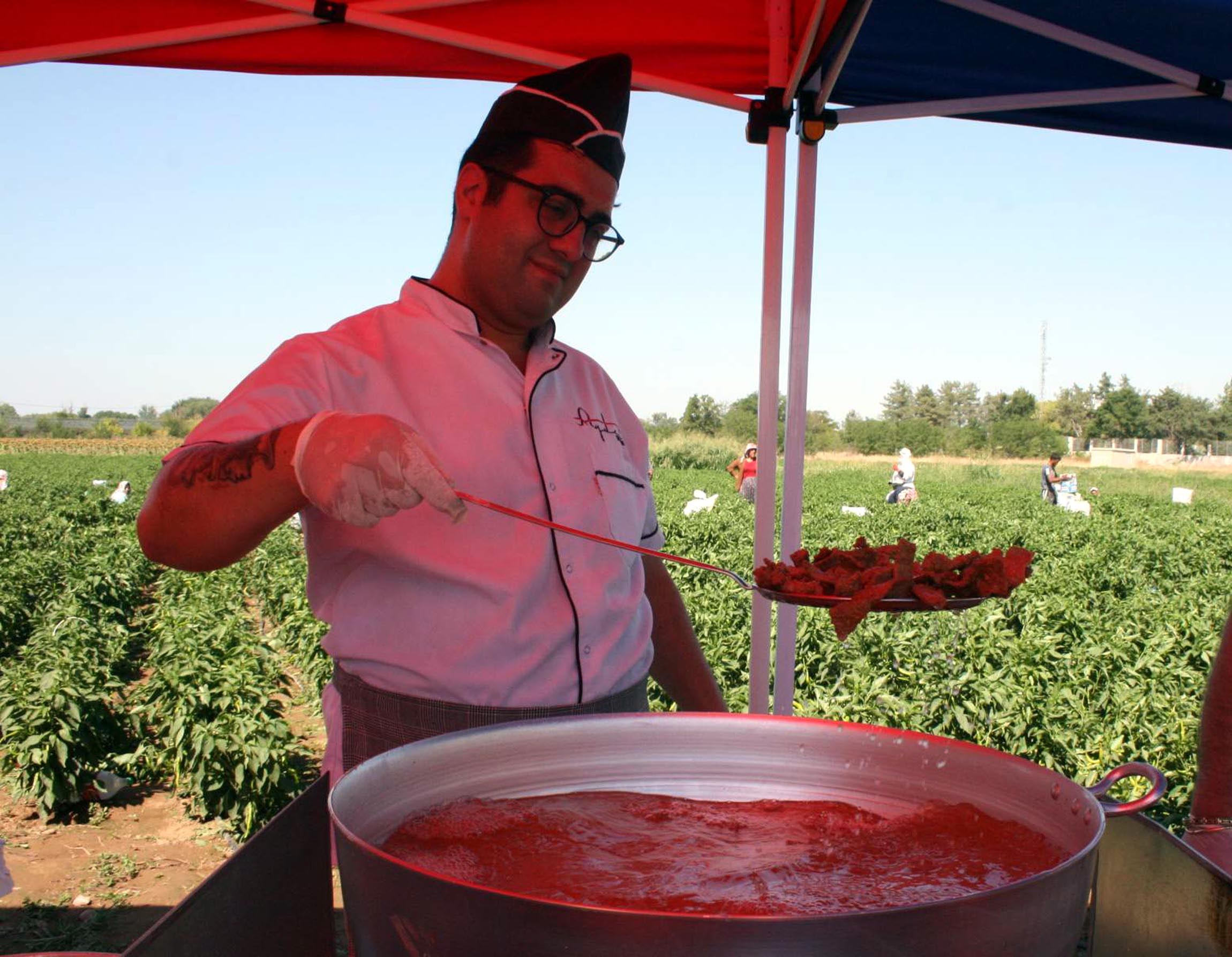 Edirne'de oyun havaları eşliğinde 'acı biber' hasadı - Görsel 9