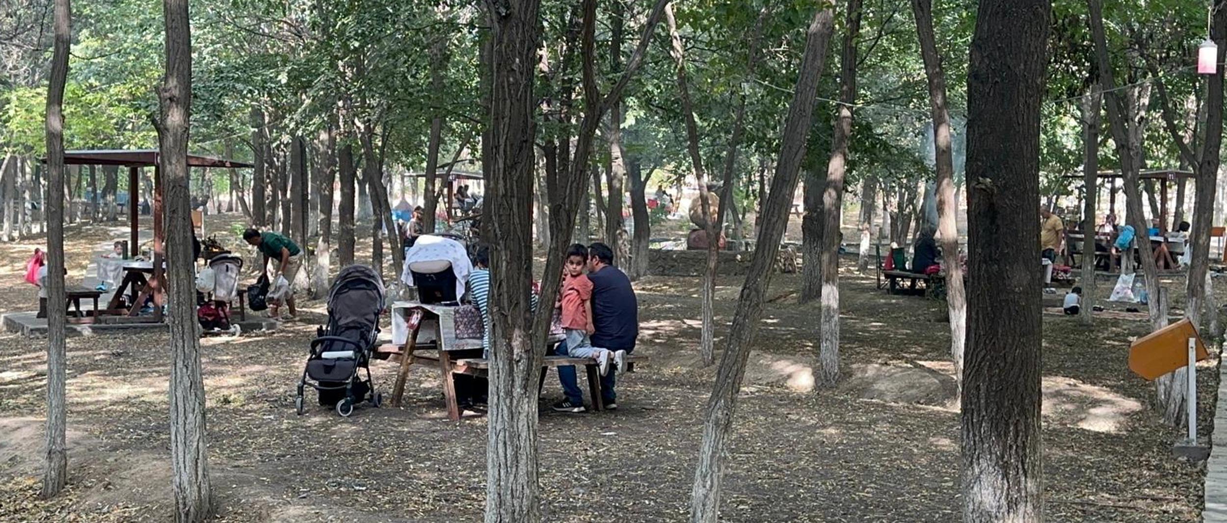 Iğdır- Kent ormanında kampanya: Çöpünü topla, giriş ve hizmet ücreti ödeme  - Görsel 3