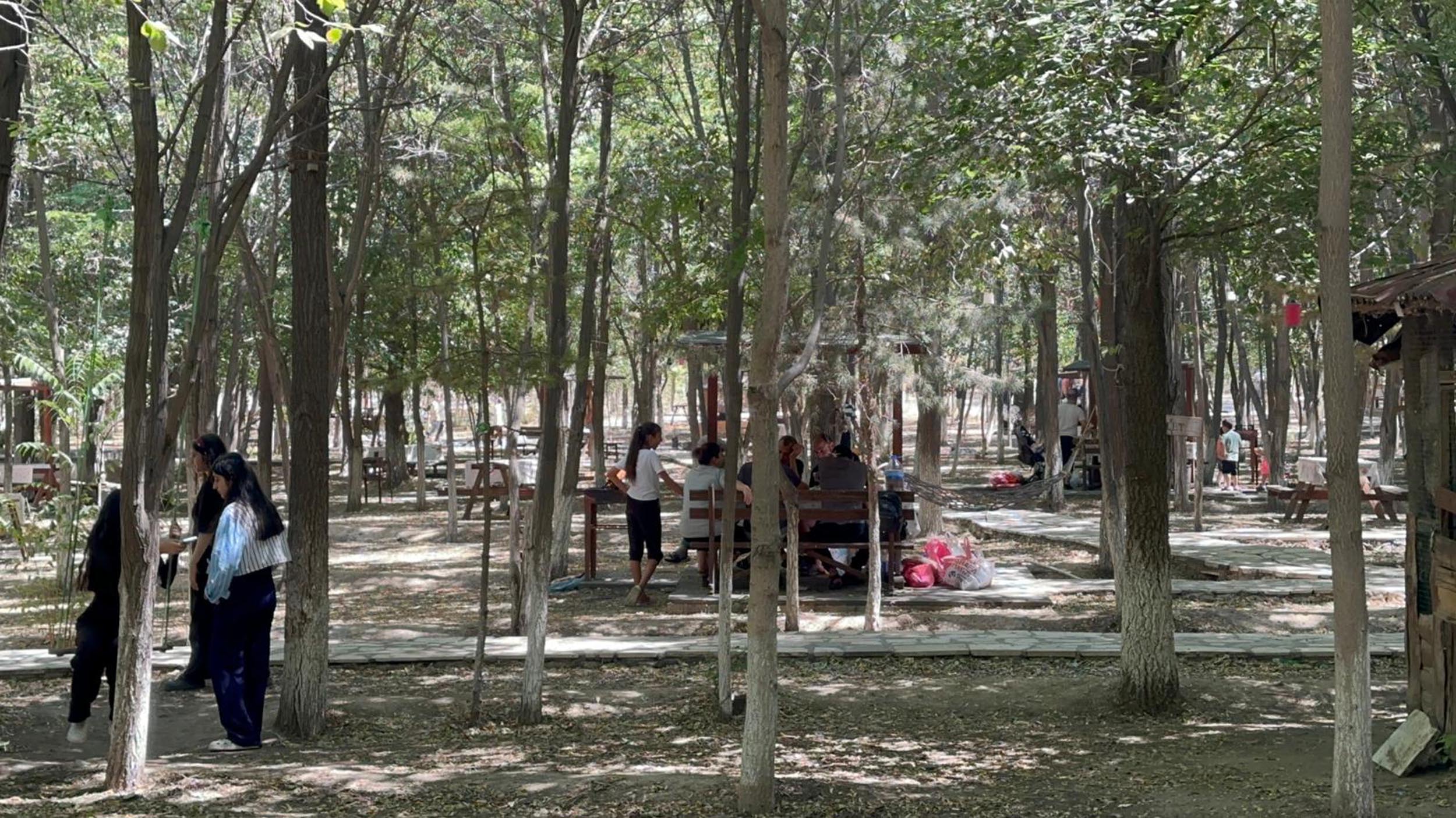 Iğdır- Kent ormanında kampanya: Çöpünü topla, giriş ve hizmet ücreti ödeme  - Görsel 4