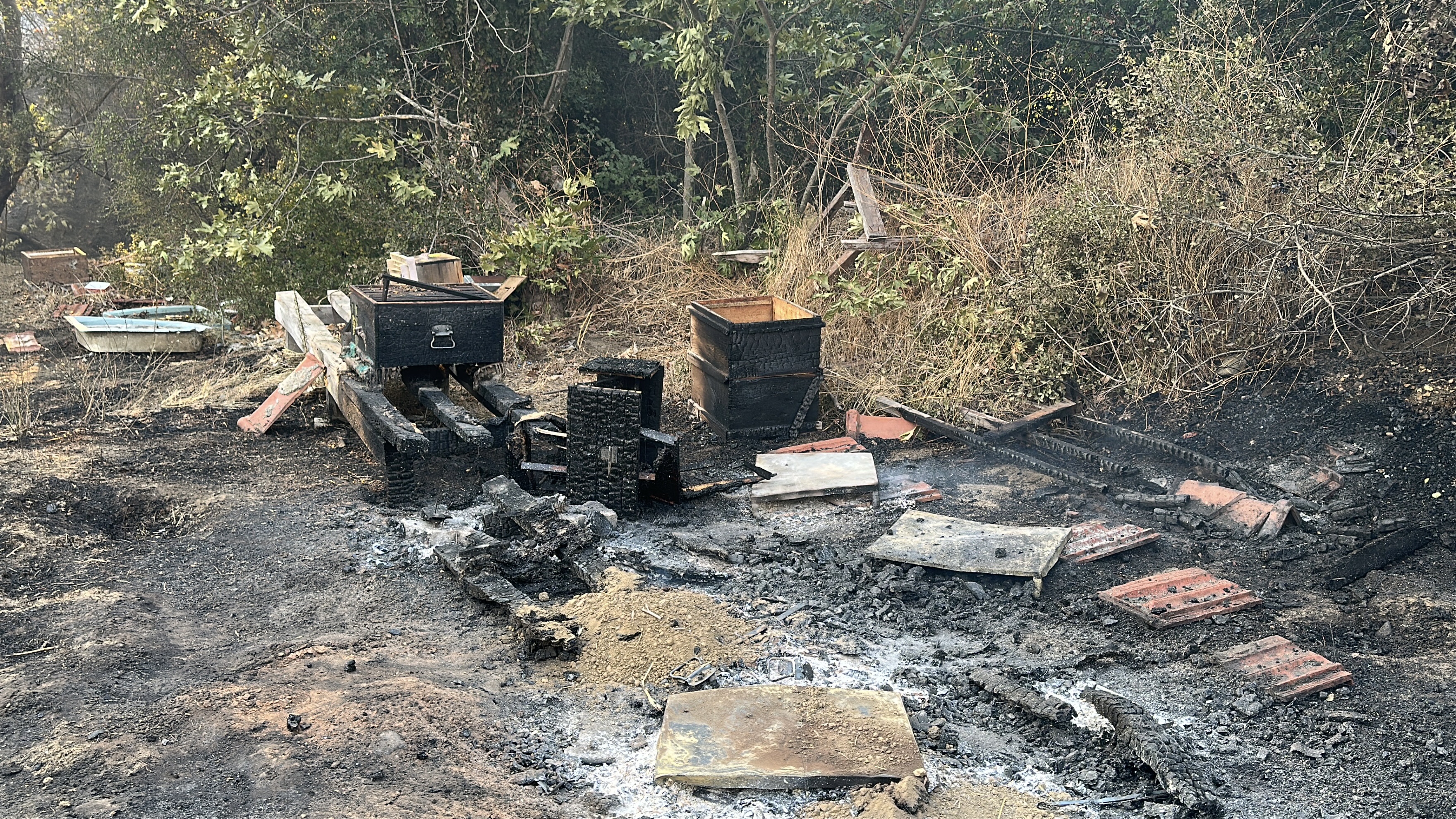 Çanakkale'deki orman yangını 2'nci gününde insanı dehşete düşüren  görüntüler. - Görsel 3