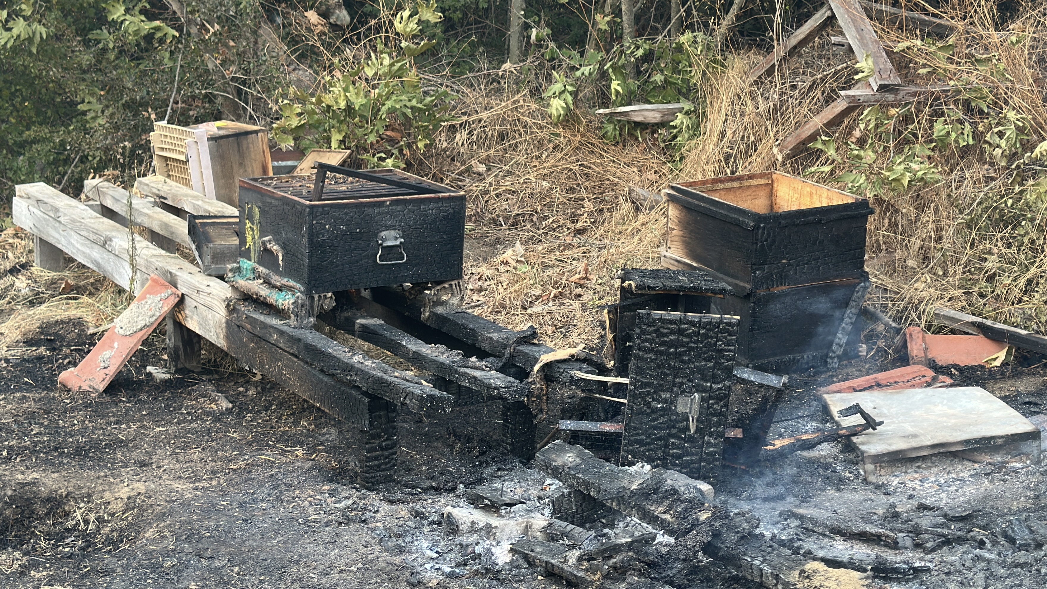 Çanakkale'deki orman yangını 2'nci gününde insanı dehşete düşüren  görüntüler. - Görsel 4