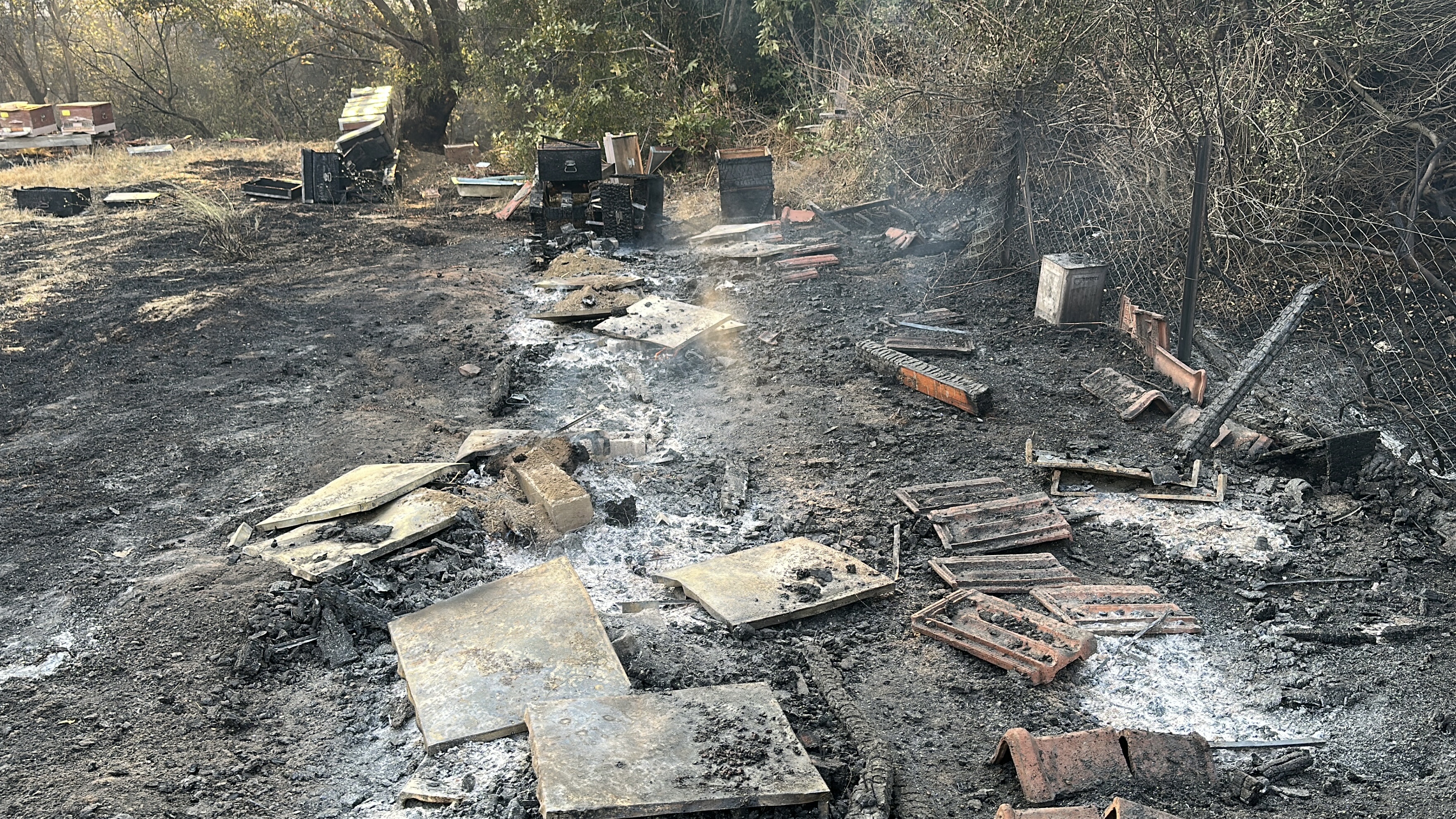 Çanakkale'deki orman yangını 2'nci gününde insanı dehşete düşüren  görüntüler. - Görsel 5
