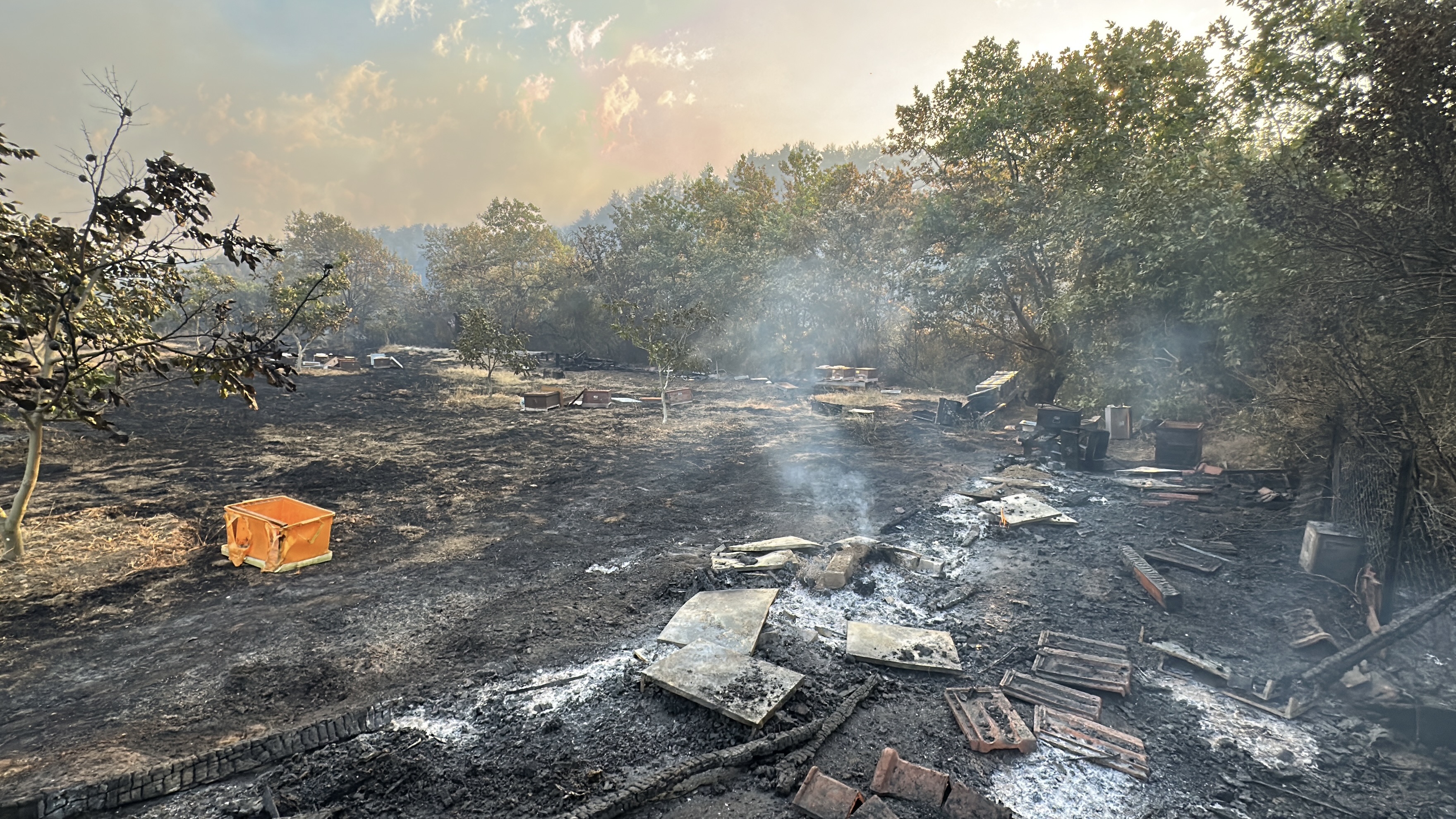 Çanakkale'deki orman yangını 2'nci gününde insanı dehşete düşüren  görüntüler. - Görsel 6