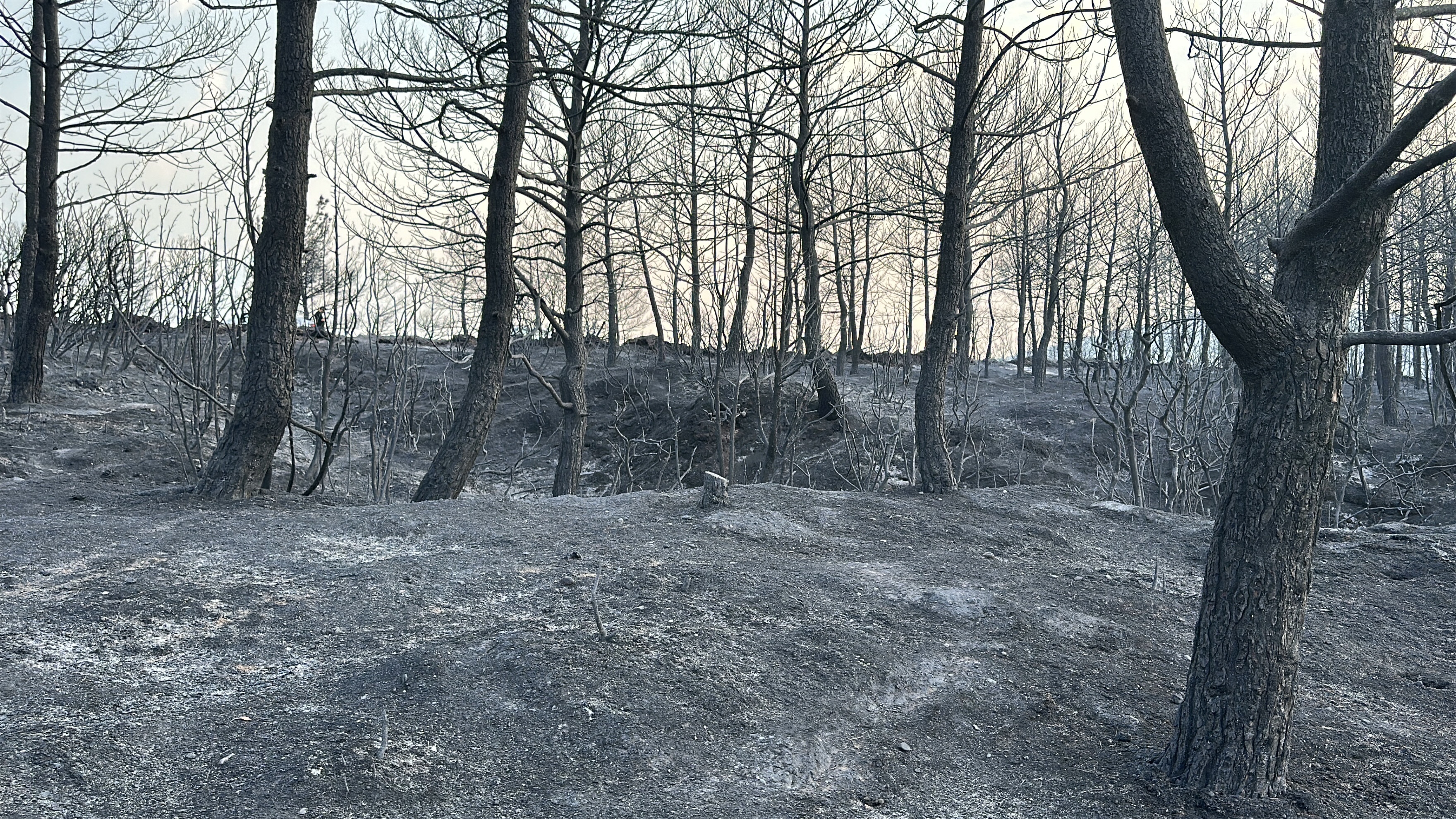 Çanakkale'deki orman yangını 2'nci gününde insanı dehşete düşüren  görüntüler. - Görsel 8