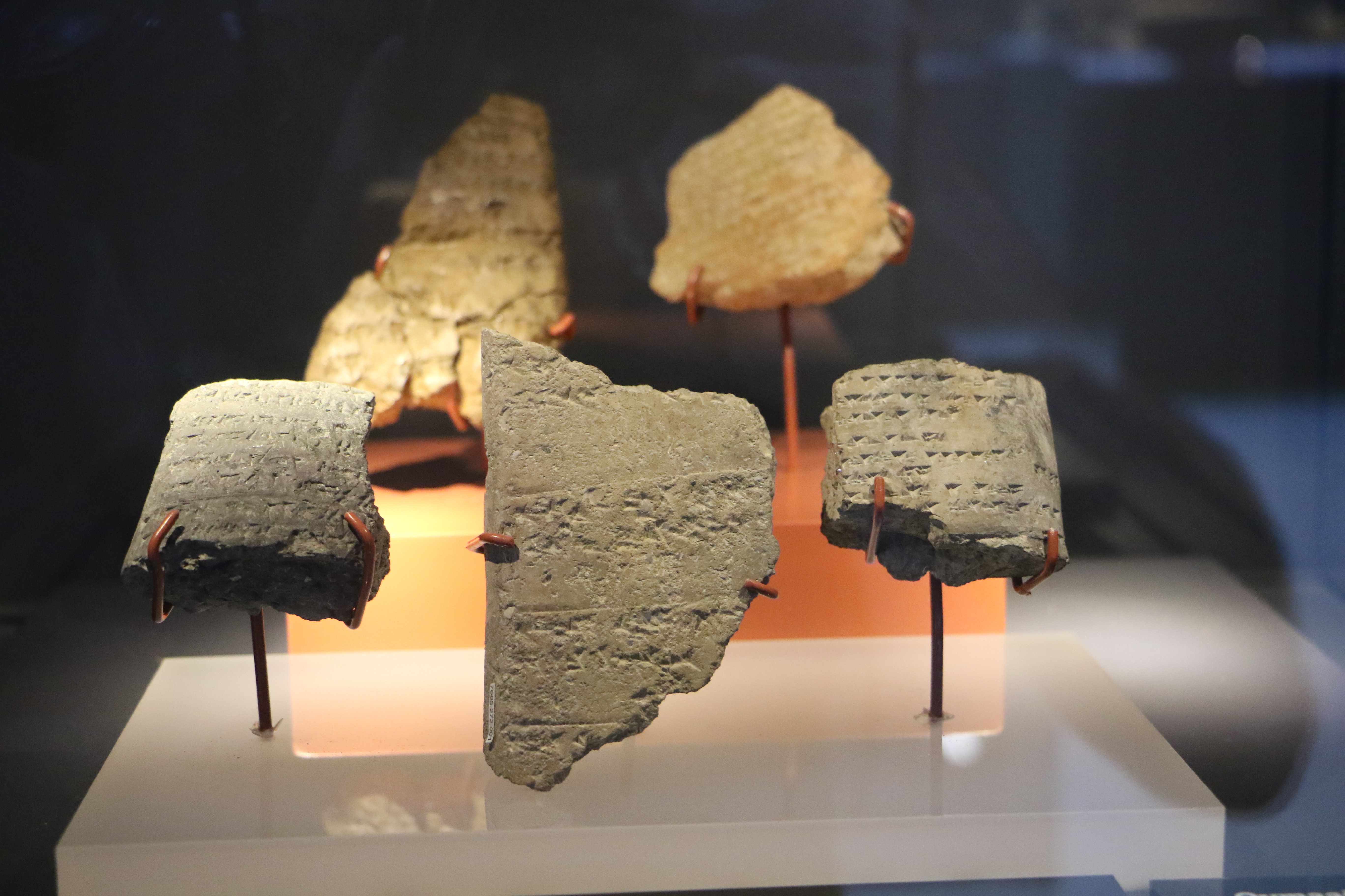 Oymaağaç Höyüğü kazılarında 3 bin yıllık fındık kabuğu bulundu - Görsel 4