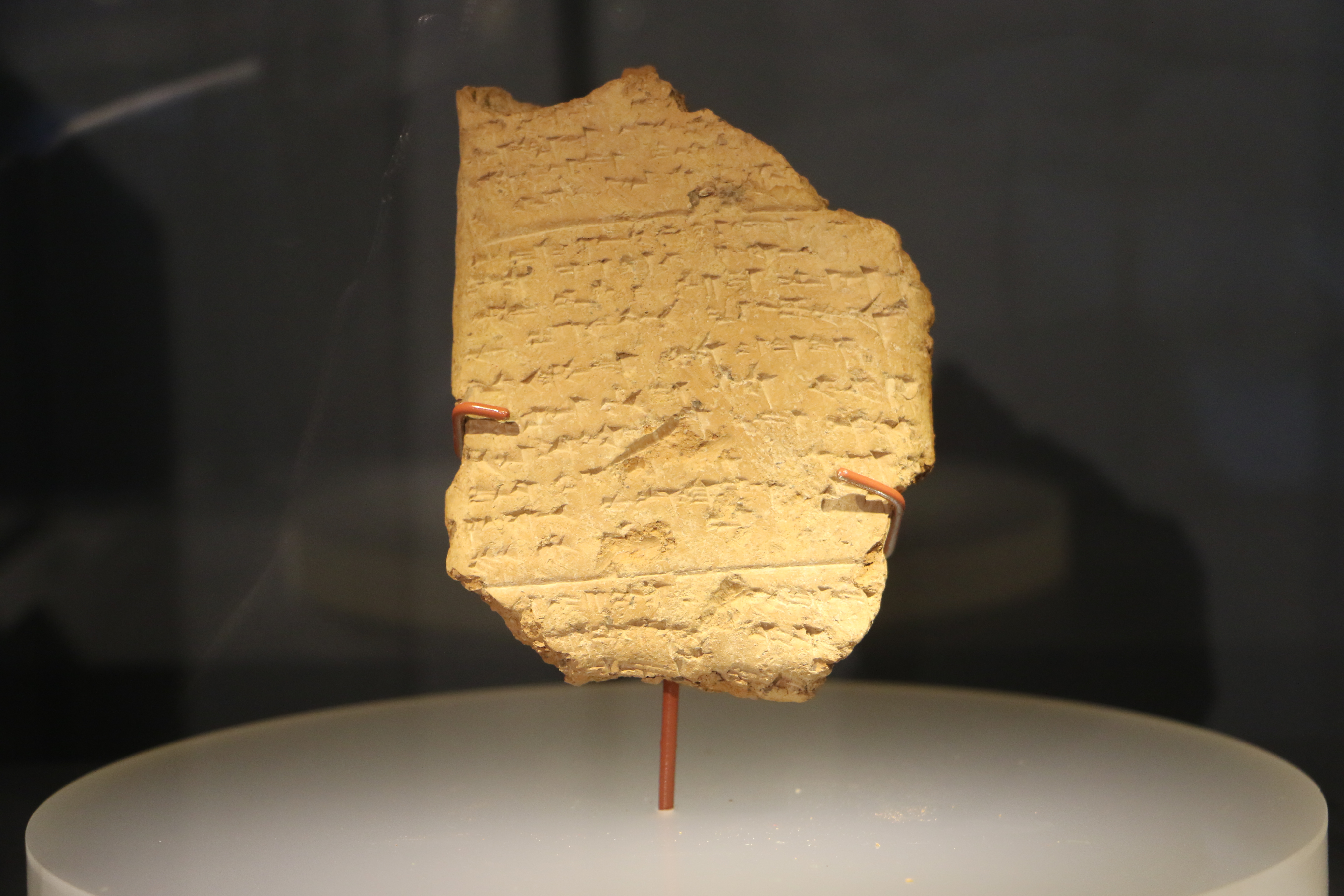 Oymaağaç Höyüğü kazılarında 3 bin yıllık fındık kabuğu bulundu - Görsel 5