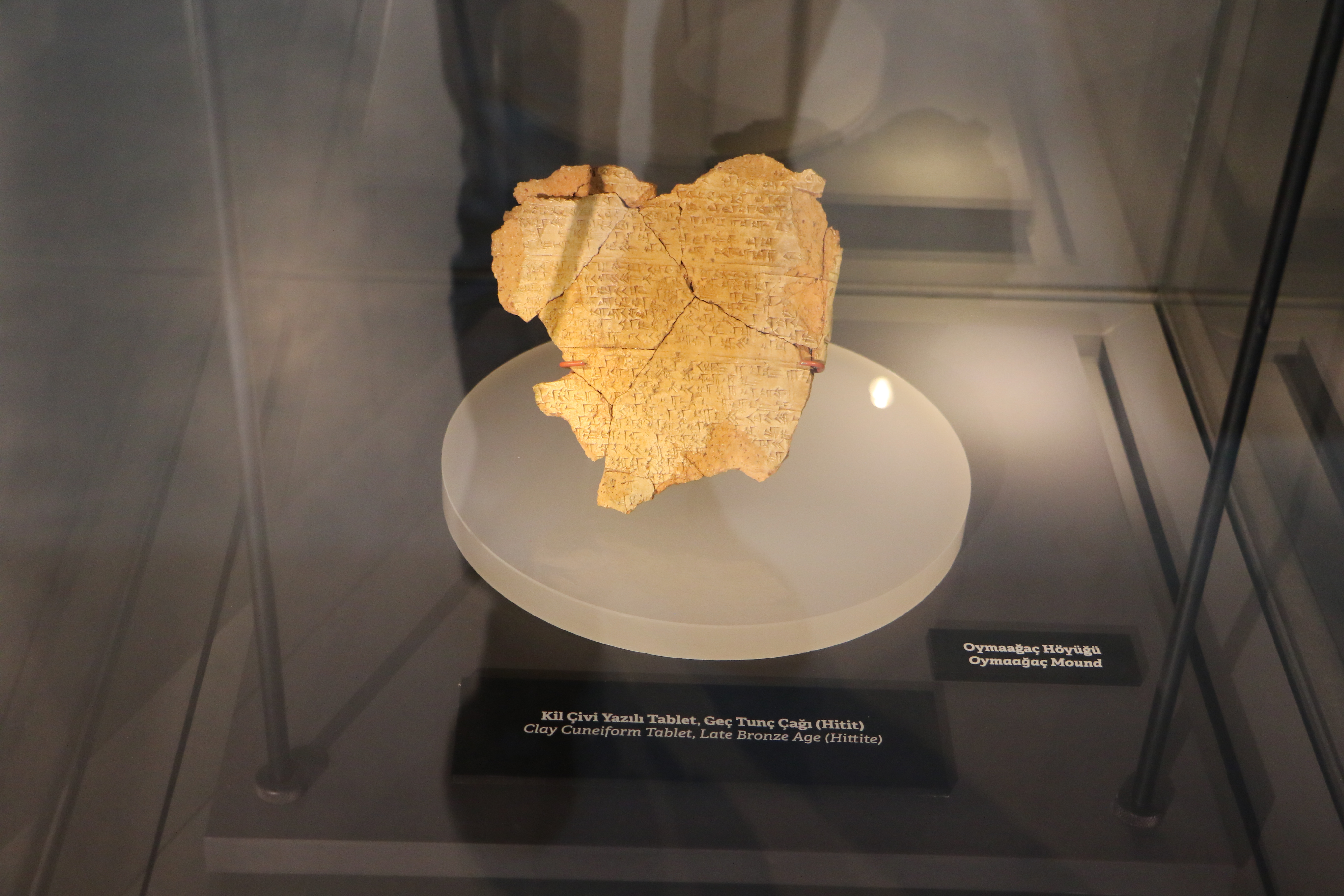 Oymaağaç Höyüğü kazılarında 3 bin yıllık fındık kabuğu bulundu - Görsel 6