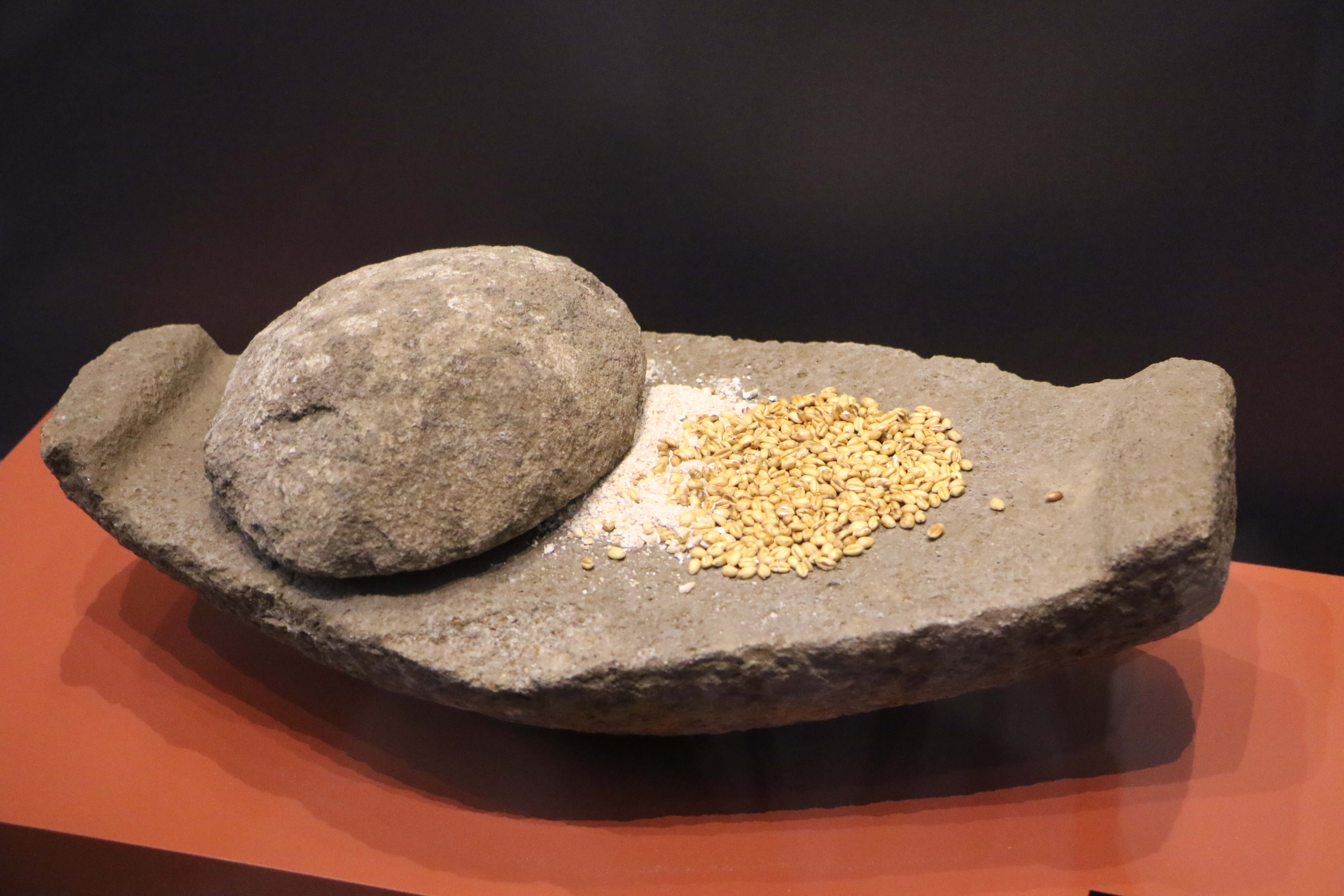 Oymaağaç Höyüğü kazılarında 3 bin yıllık fındık kabuğu bulundu - Görsel 8