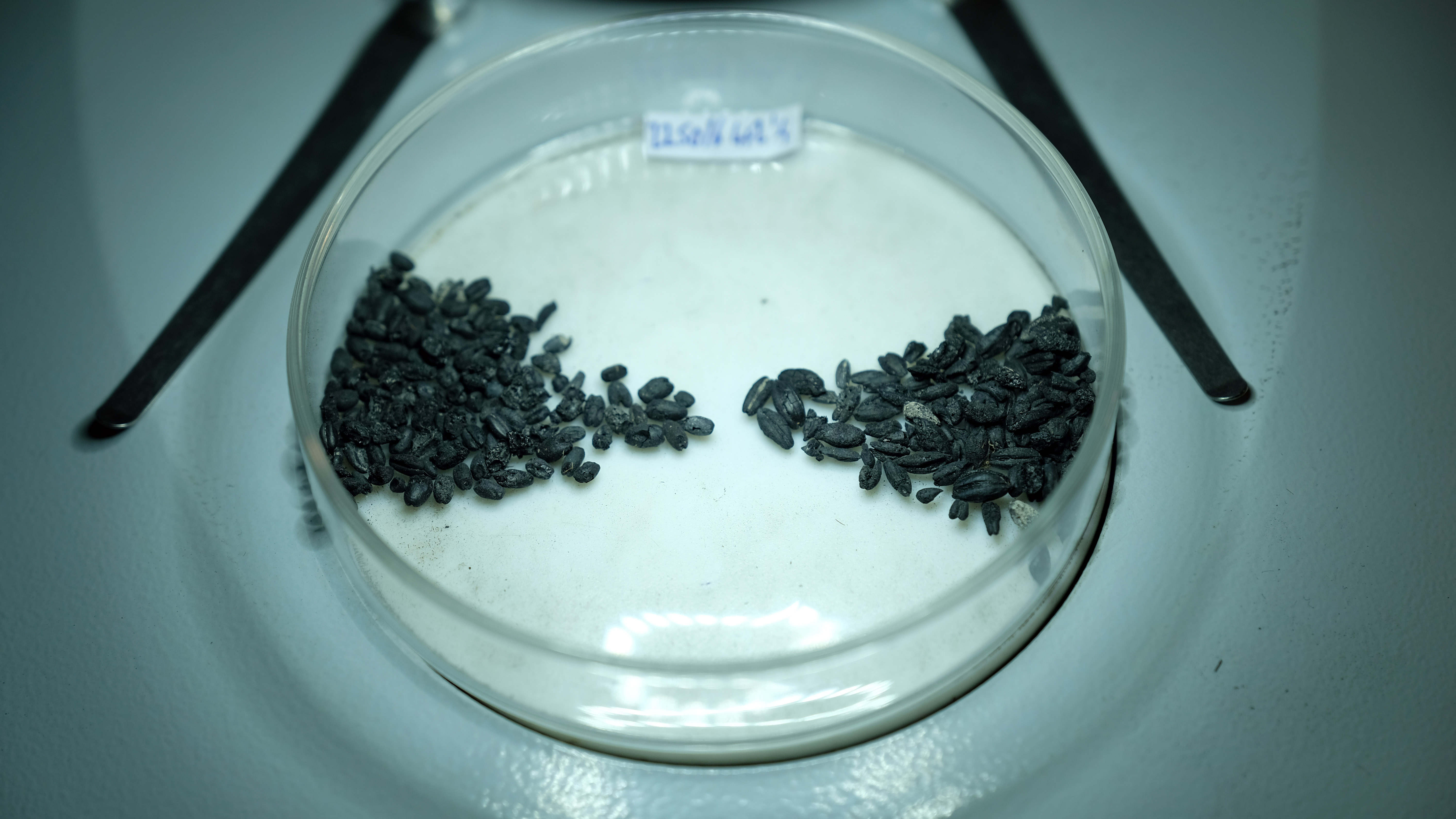 Konya Türkmen Karahöyük kazısında buluntular heyecan uyandırdı - Görsel 11