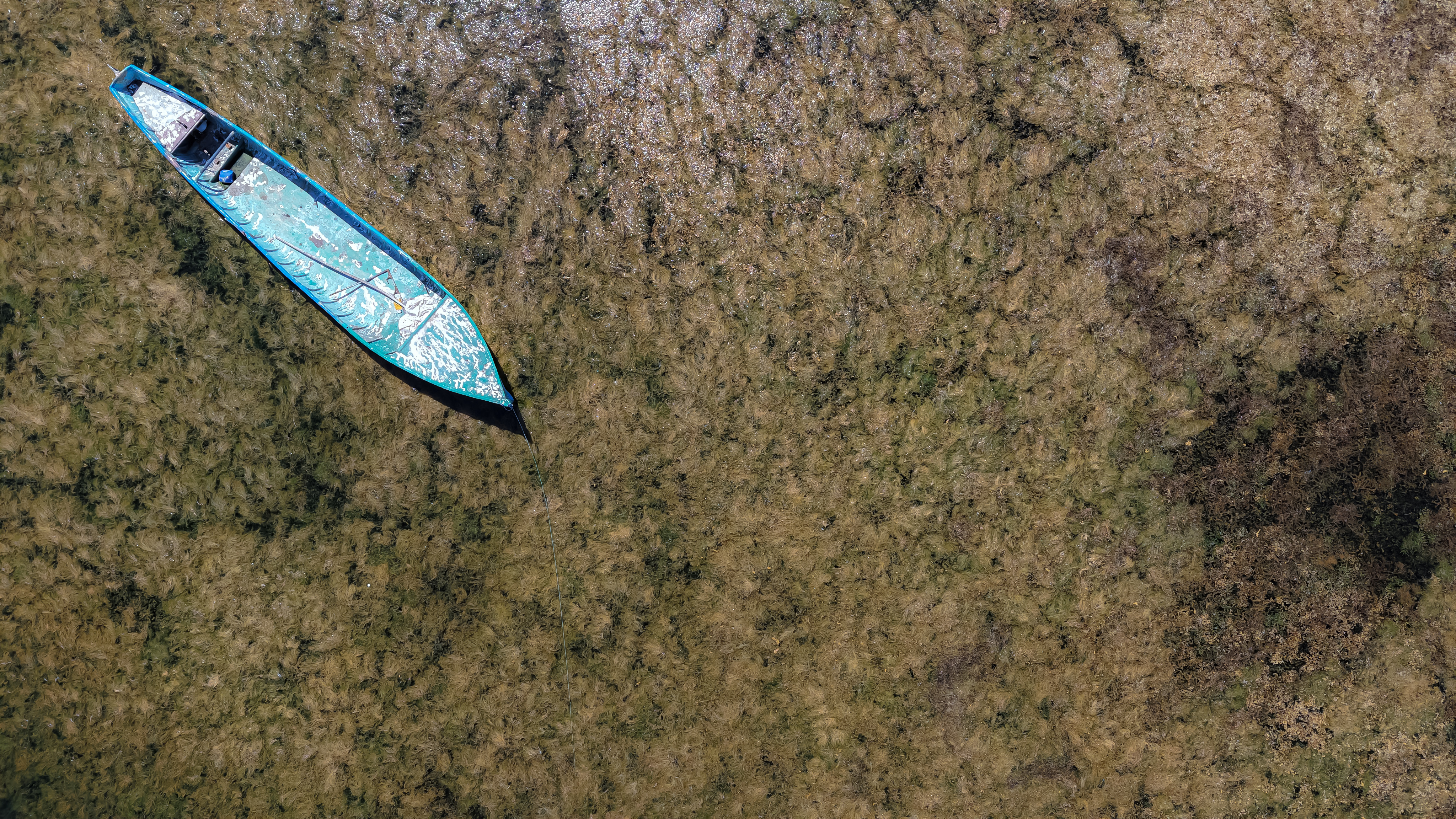 'Beyşehir Gölü vefat etti' - Görsel 2