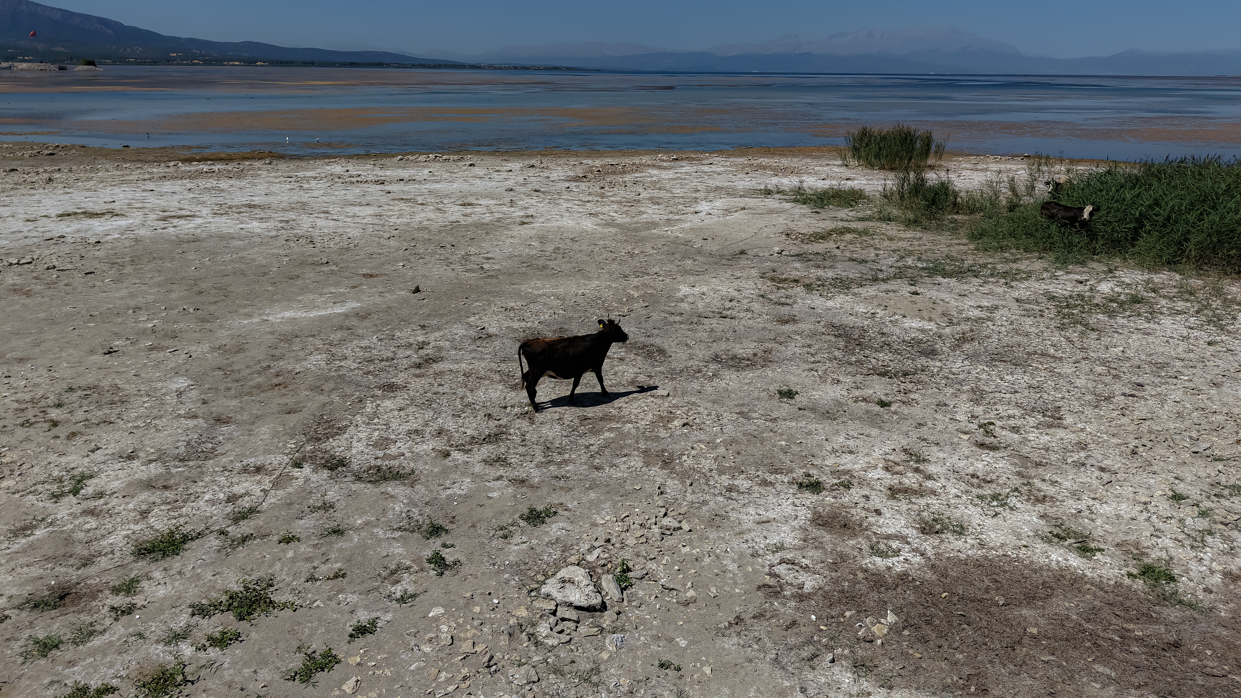 'Beyşehir Gölü vefat etti' - Görsel 4