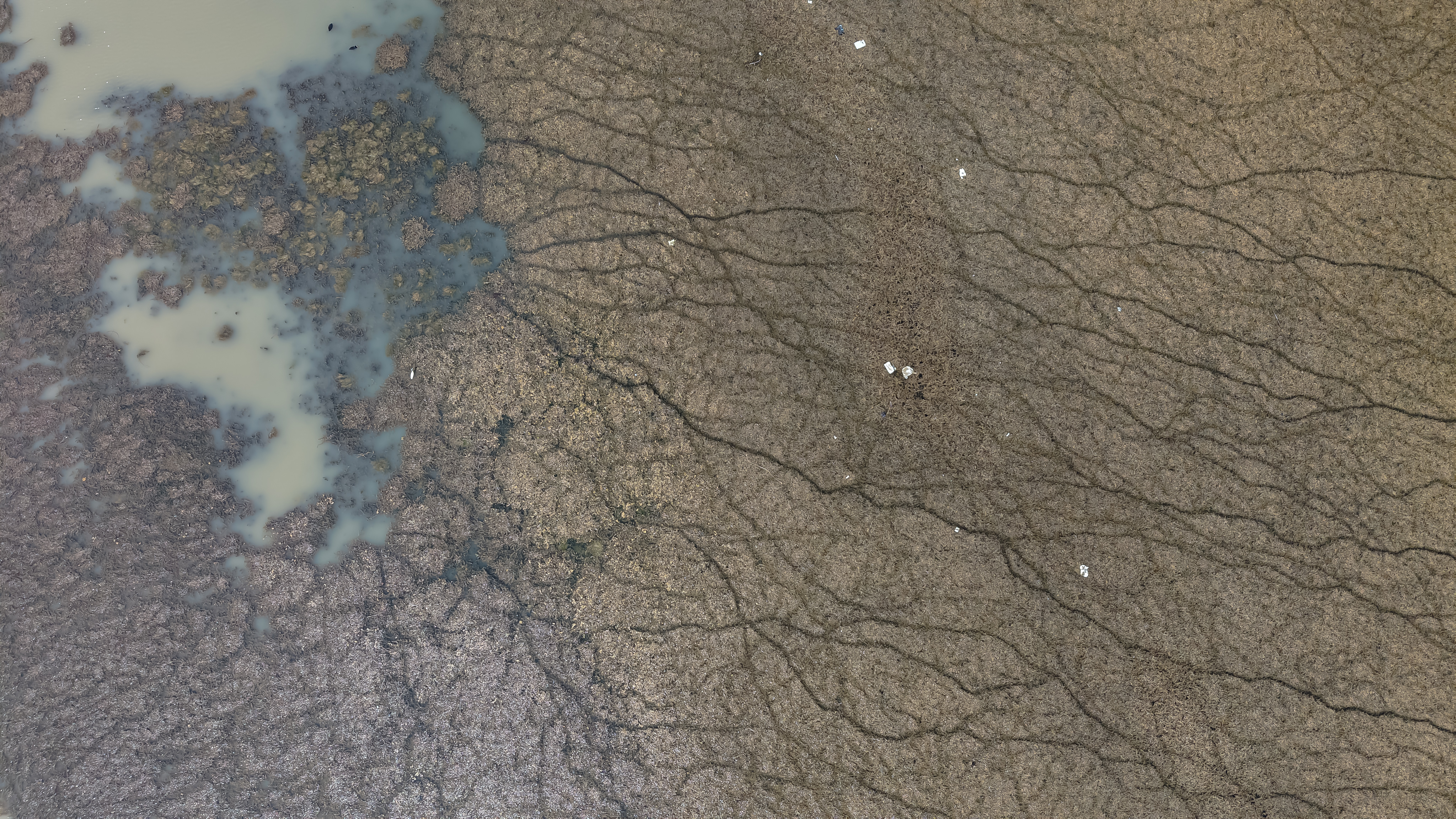 'Beyşehir Gölü vefat etti' - Görsel 6