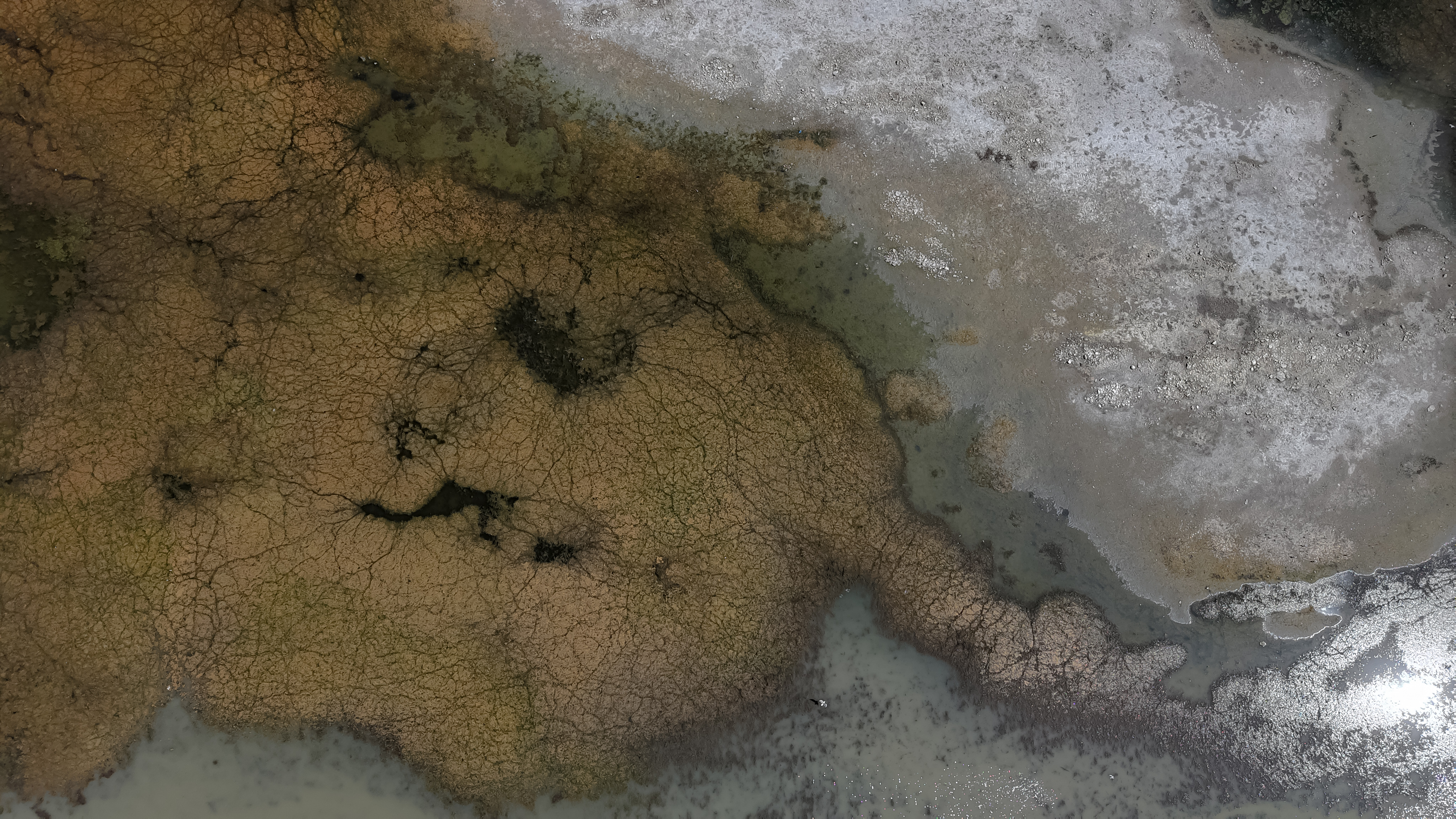 'Beyşehir Gölü vefat etti' - Görsel 18