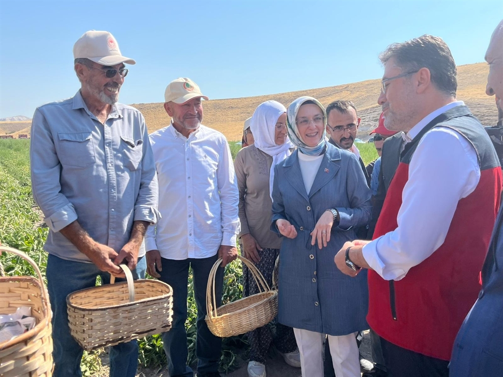 Bakan Yumaklı: Pestisiti azaltma yönünde özellikle kararlıyız - Görsel 3