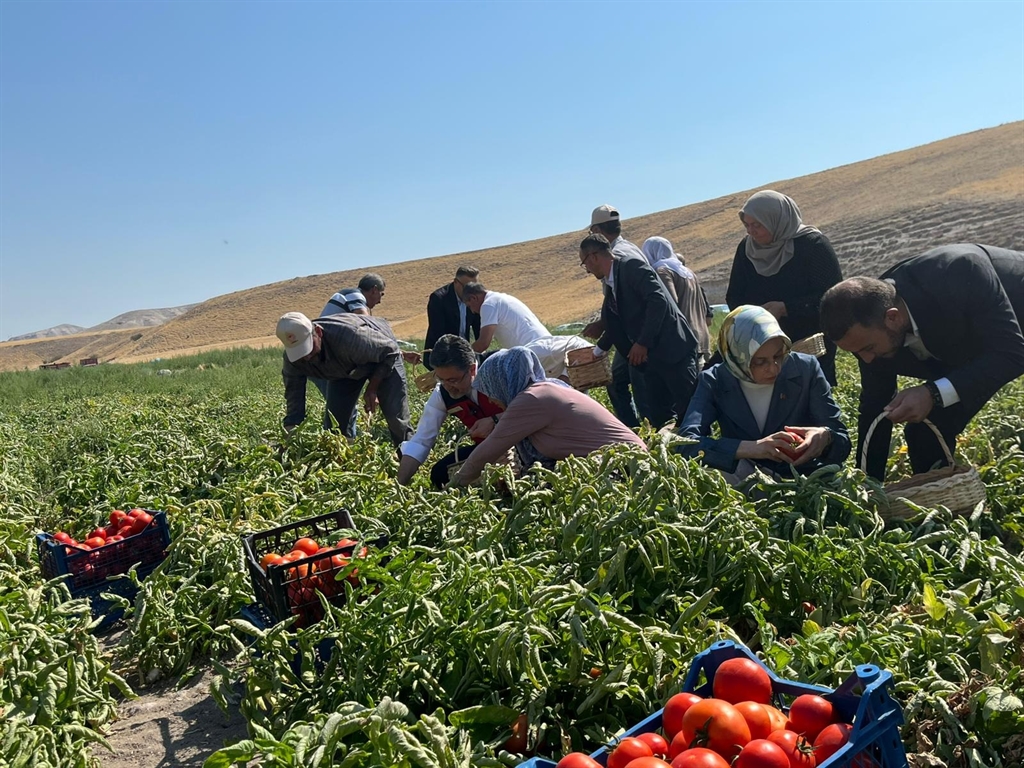 Bakan Yumaklı: Pestisiti azaltma yönünde özellikle kararlıyız - Görsel 4