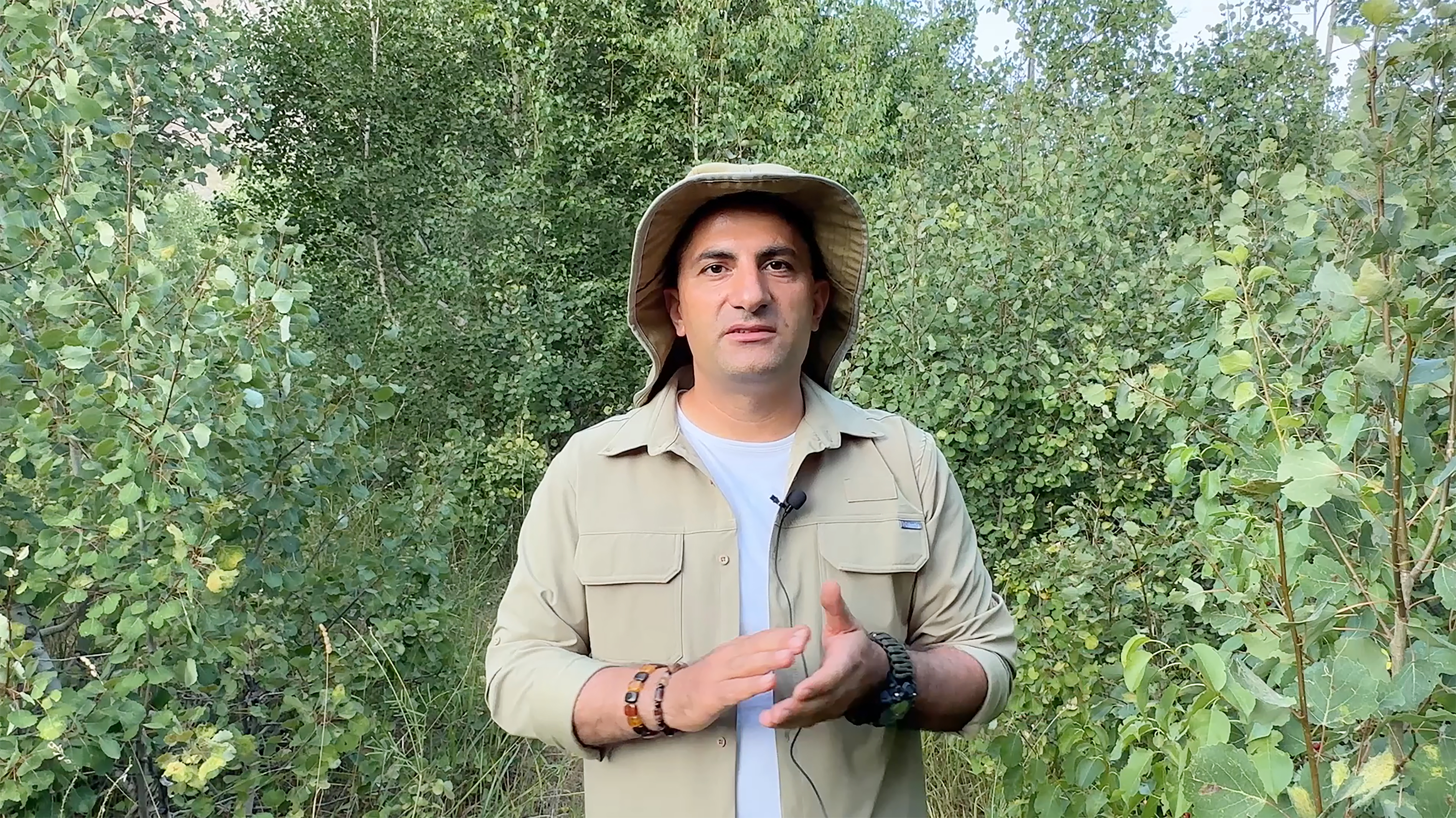 Bozayılar, Nemrut Krater Gölü’nde yüzerken görüntülendi - Görsel 2