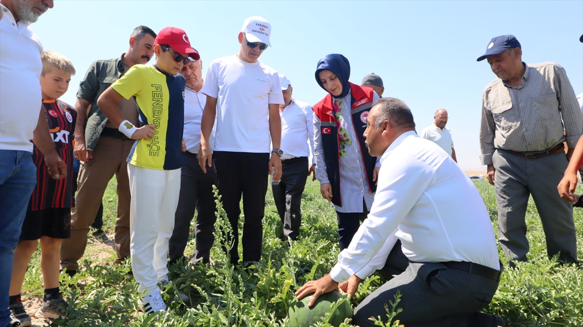 Karaman Valisi Çiçekli, karpuz hasadına katıldı - Görsel 4