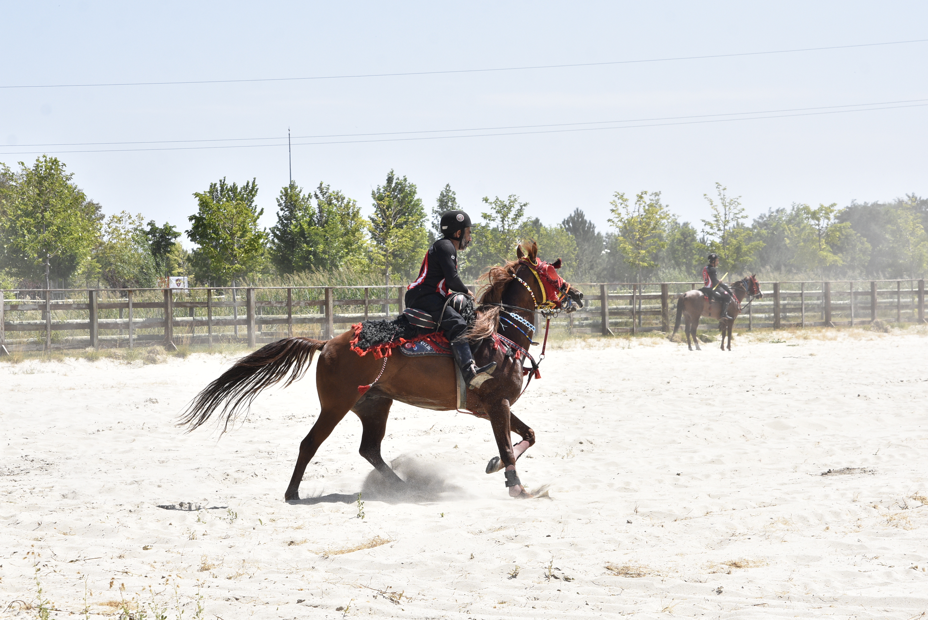 Malazgirt Zaferi'nin 954'üncü yıl dönümü kutlamaları başladı - Görsel 8