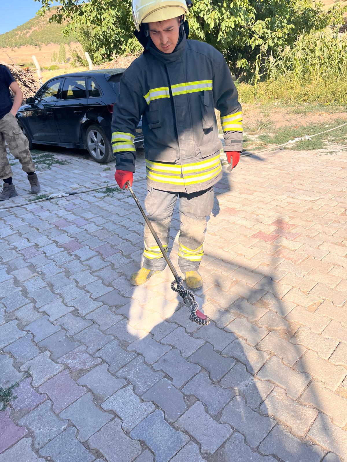 Seydişehir'de Eve Giren Yılan İtfaiye Ekipleri Tarafından Yakalanarak Doğaya Bırakıld - Görsel 3