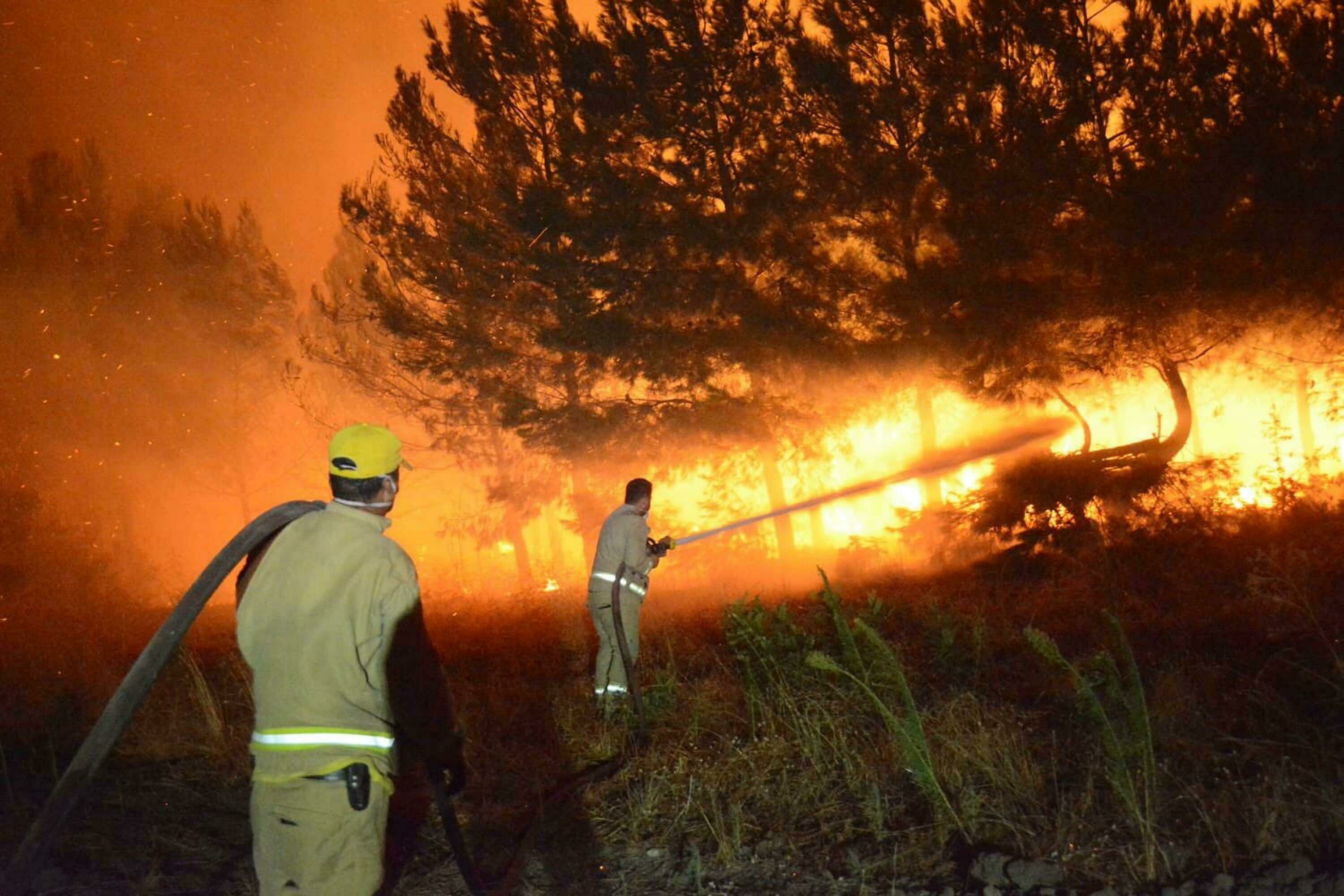 Çanakkale'de 4 büyük yangının zararı, uzaktan algılama yöntemiyle analiz edildi - Görsel 1
