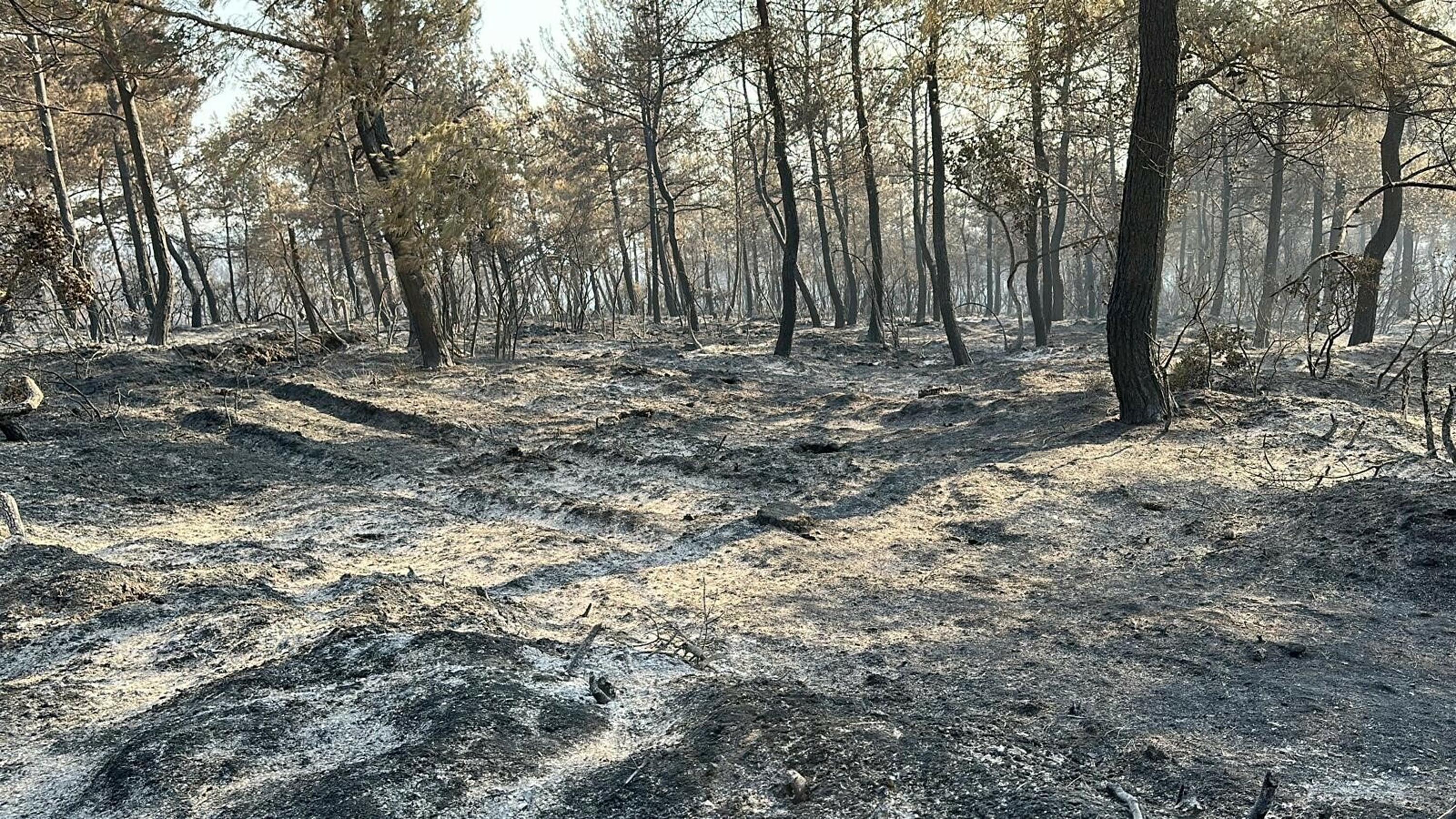 Çanakkale'de 4 büyük yangının zararı, uzaktan algılama yöntemiyle analiz edildi - Görsel 10
